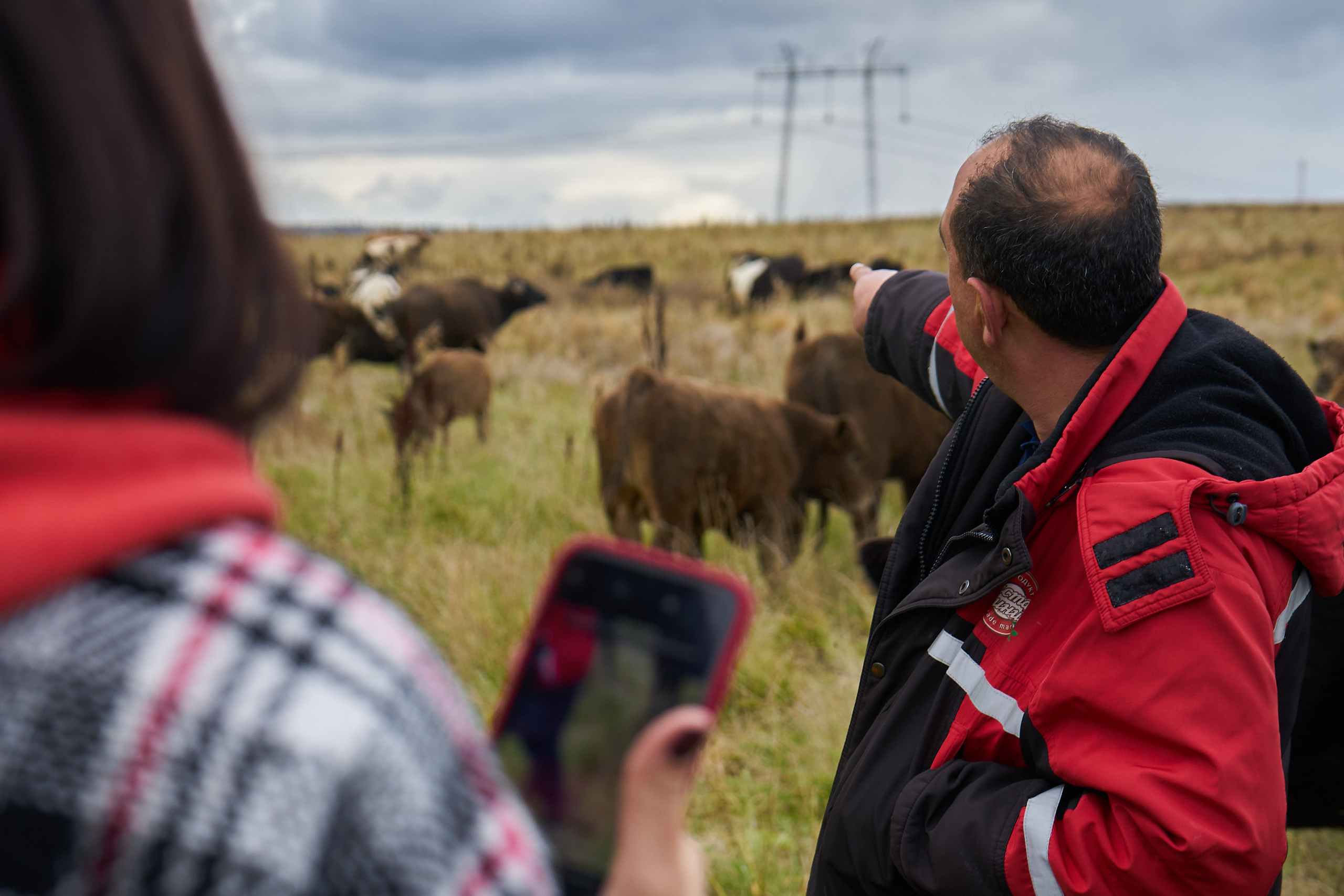 Заказ на одной из ферм «Чистая линия»