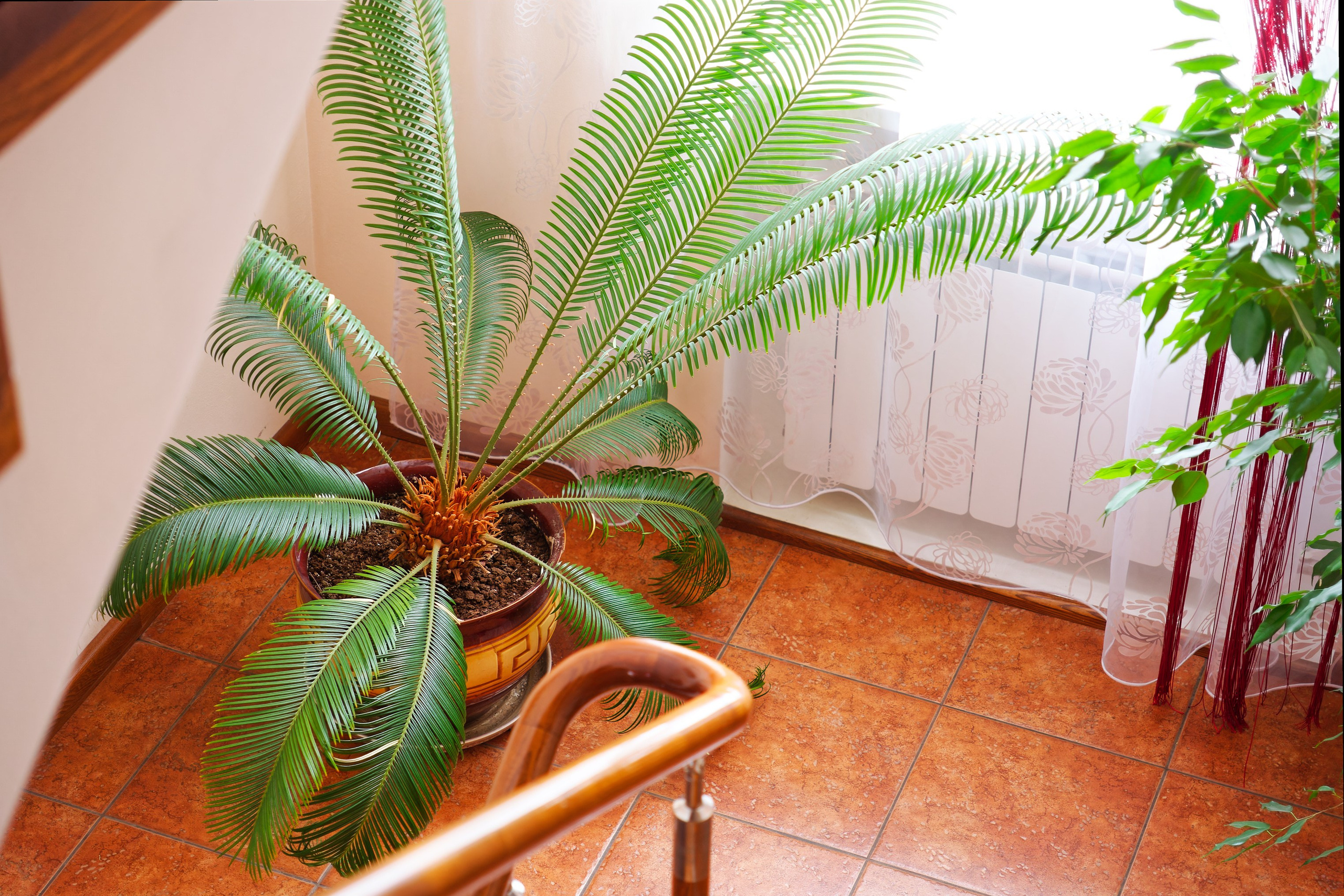 Интерьерная и архитектурная фотография. Коммерческий фотограф в Самаре| DMTRY LUMEN