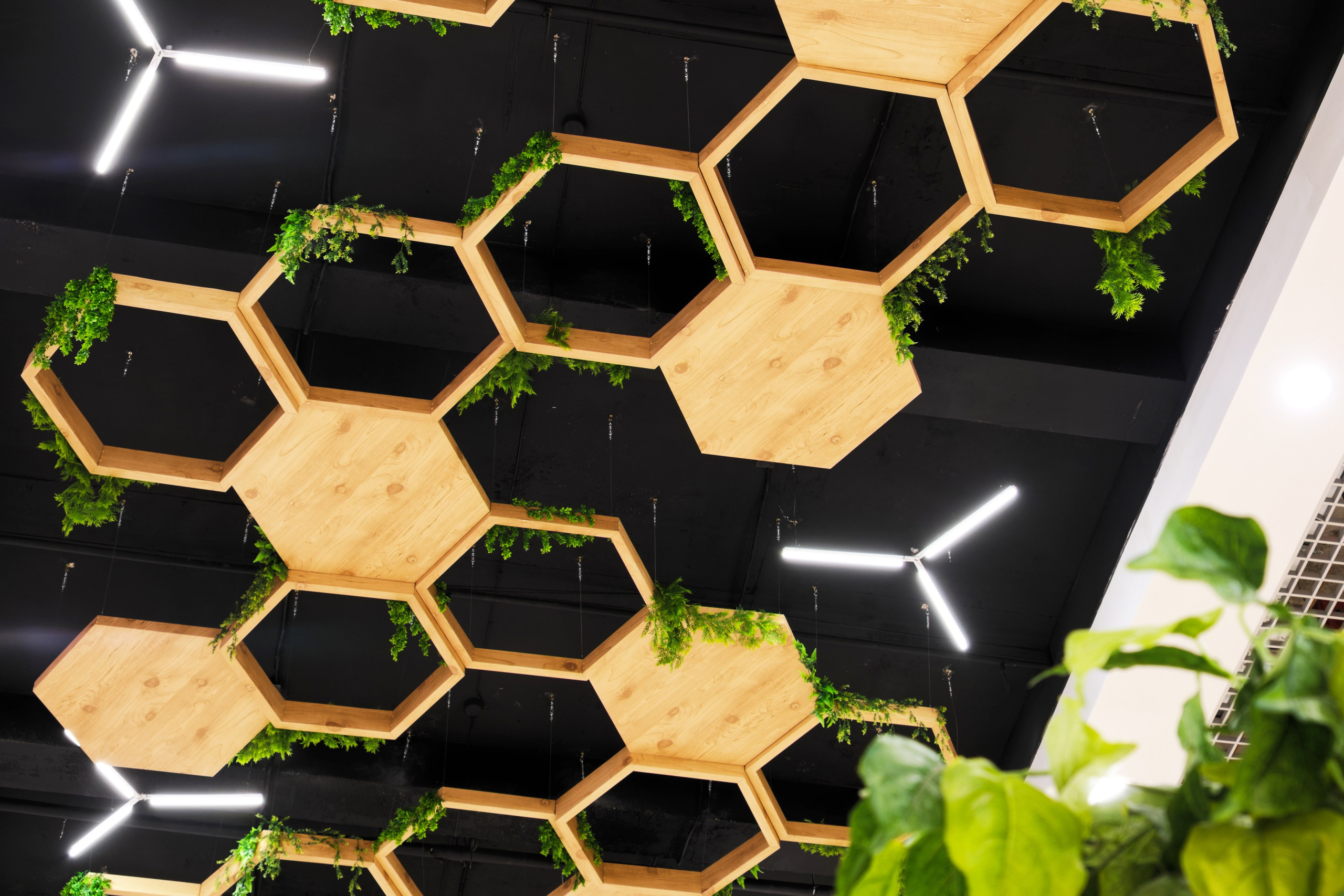 Фото арт объекта