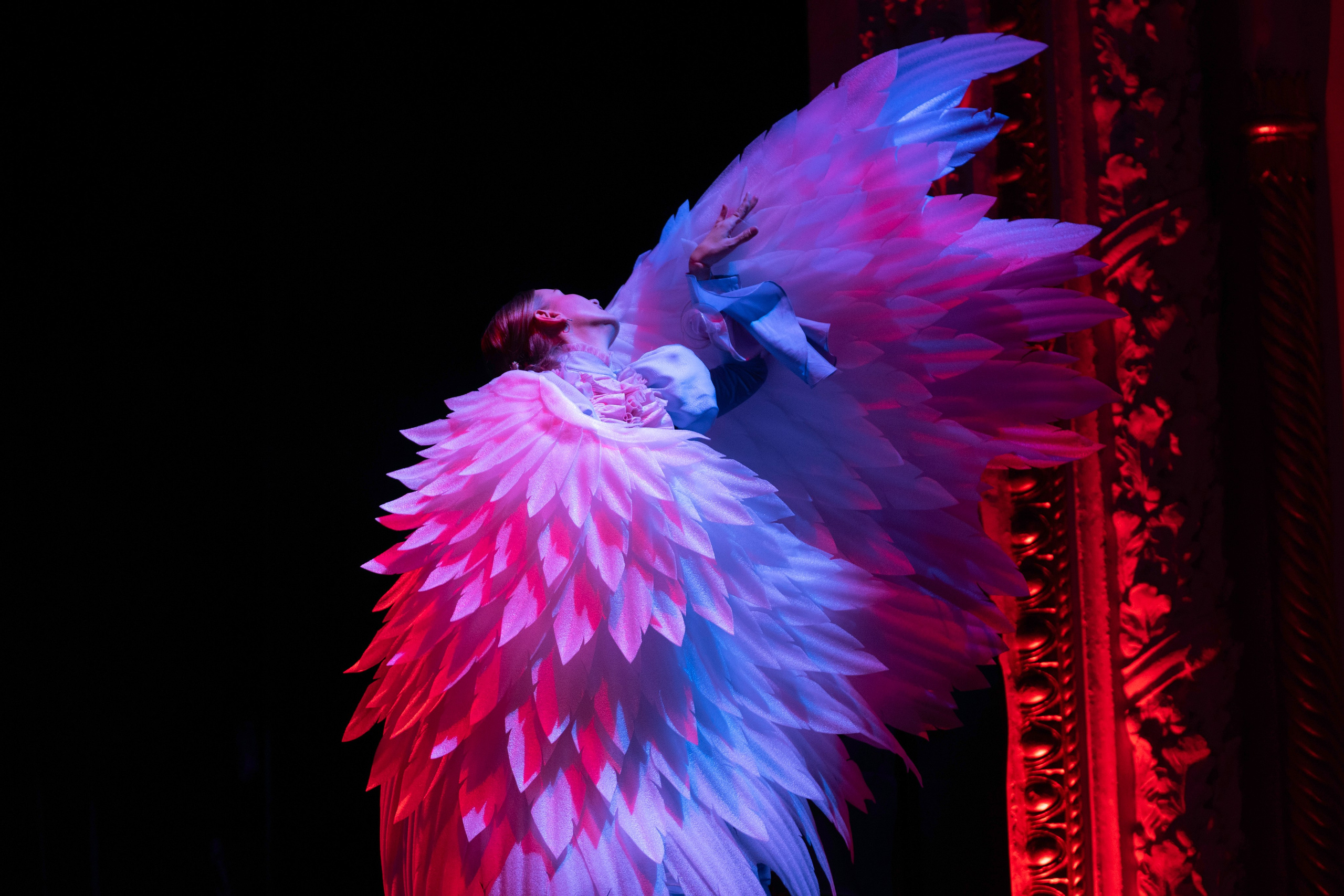 Чайка. Мюзикл (НЭТ)