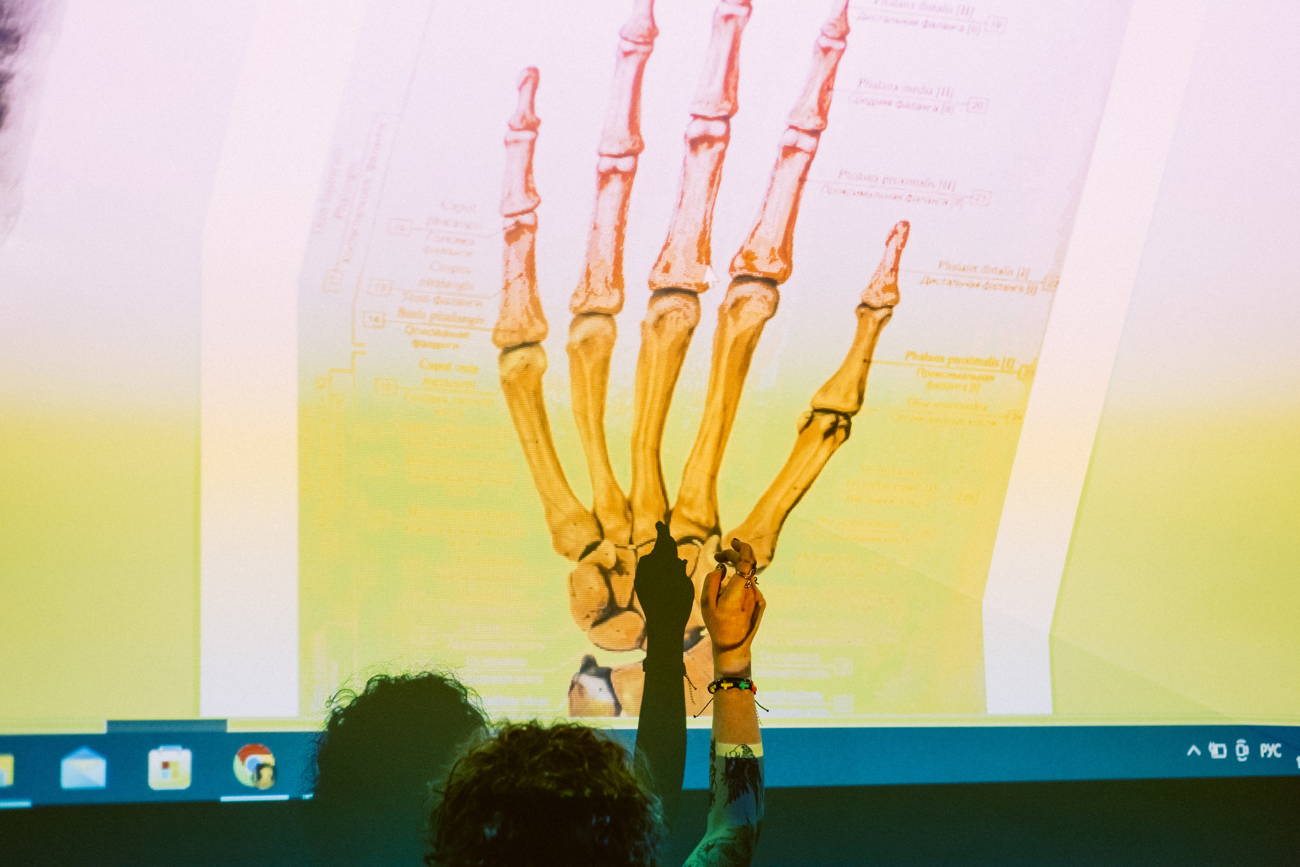 МК по массажу