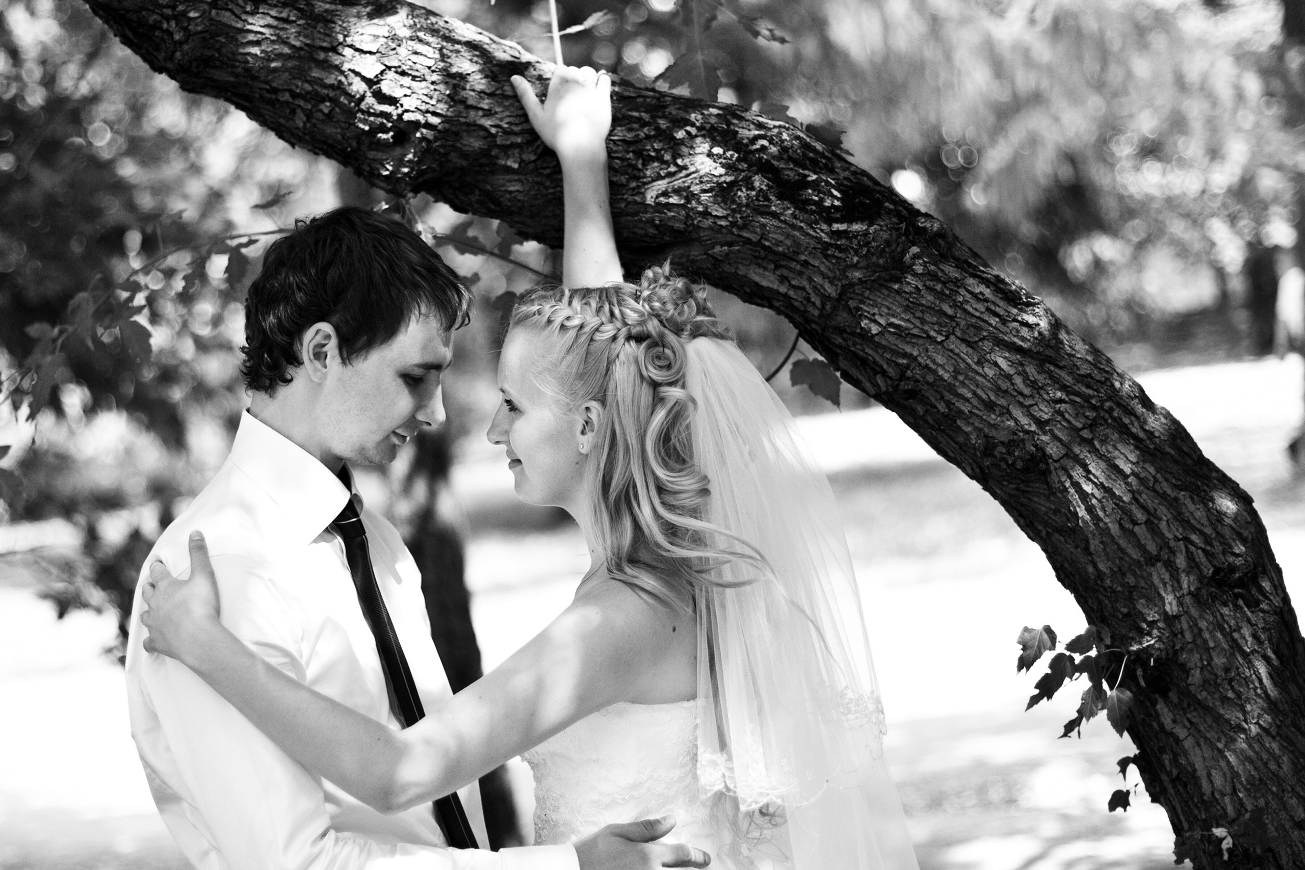 Свадебная книга