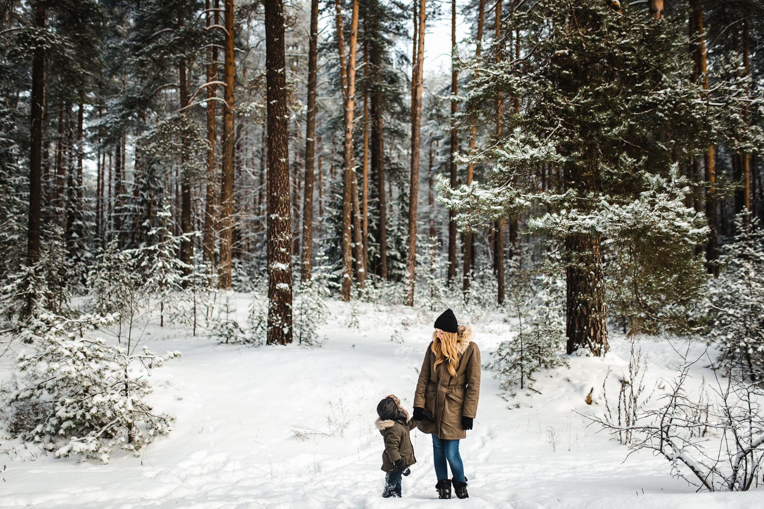 «Зимняя сказка»