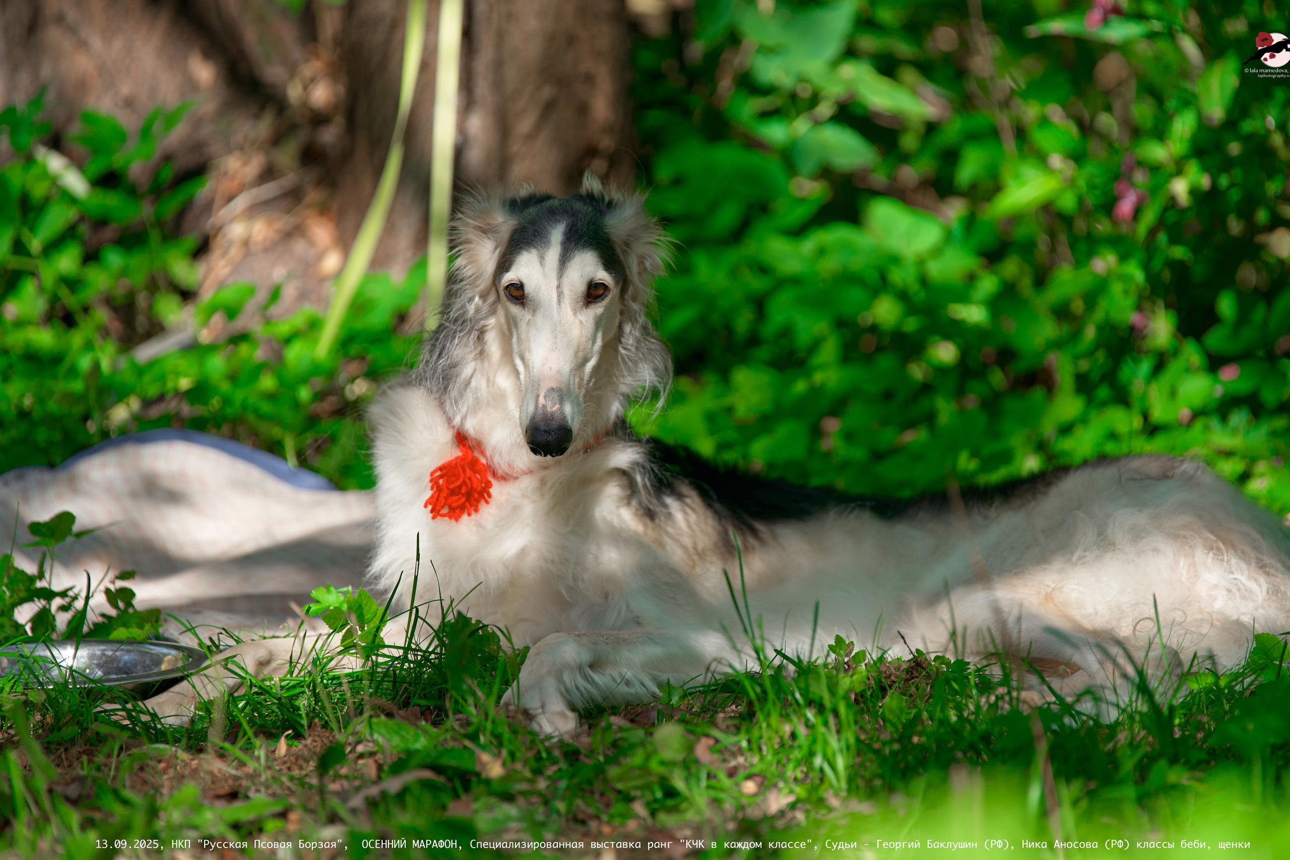 13.09.2025 | ОСЕННИЙ МАРАФОН