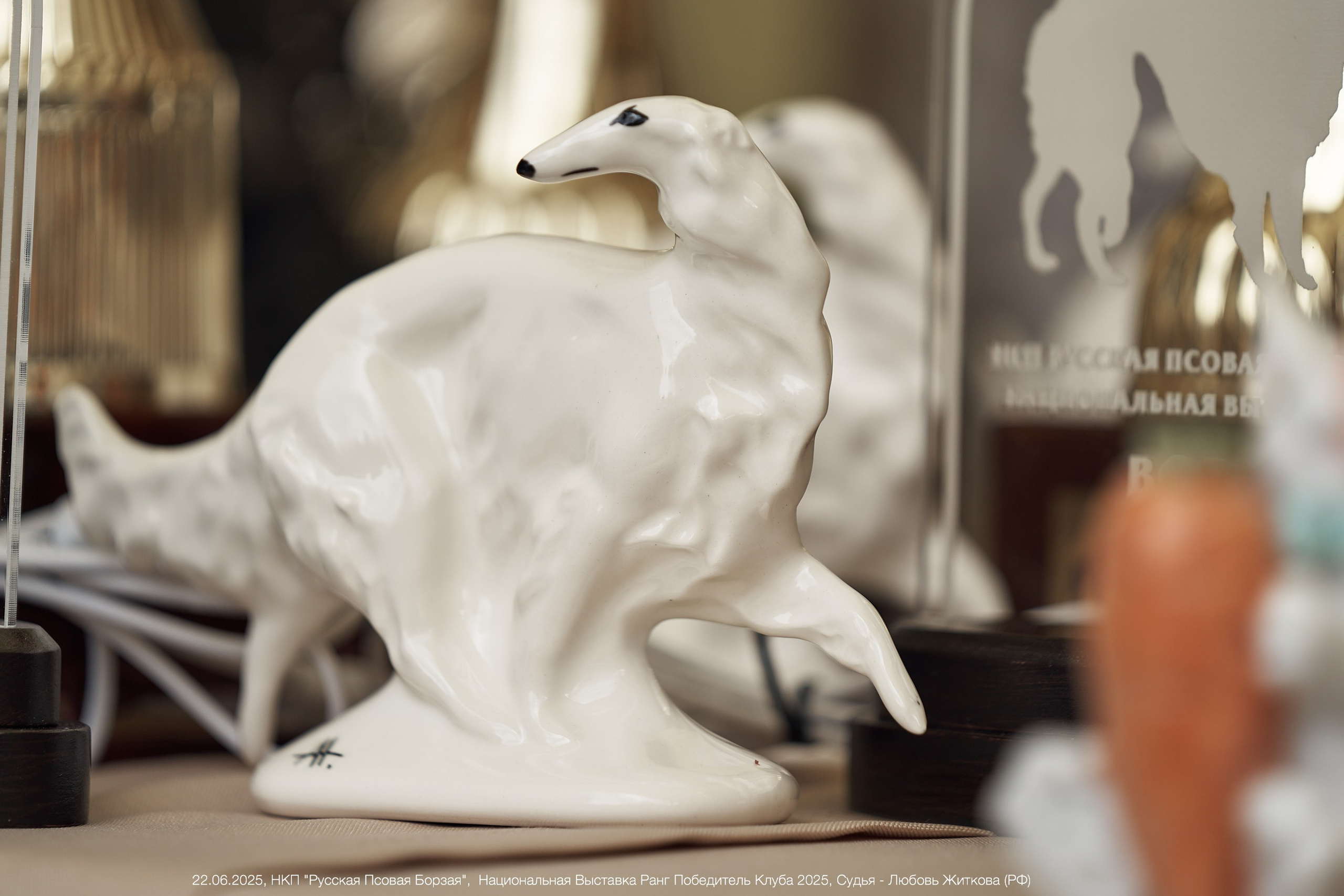 22.06.2025 | Национальная Выставка РУССКАЯ ПСОВАЯ БОРЗАЯ