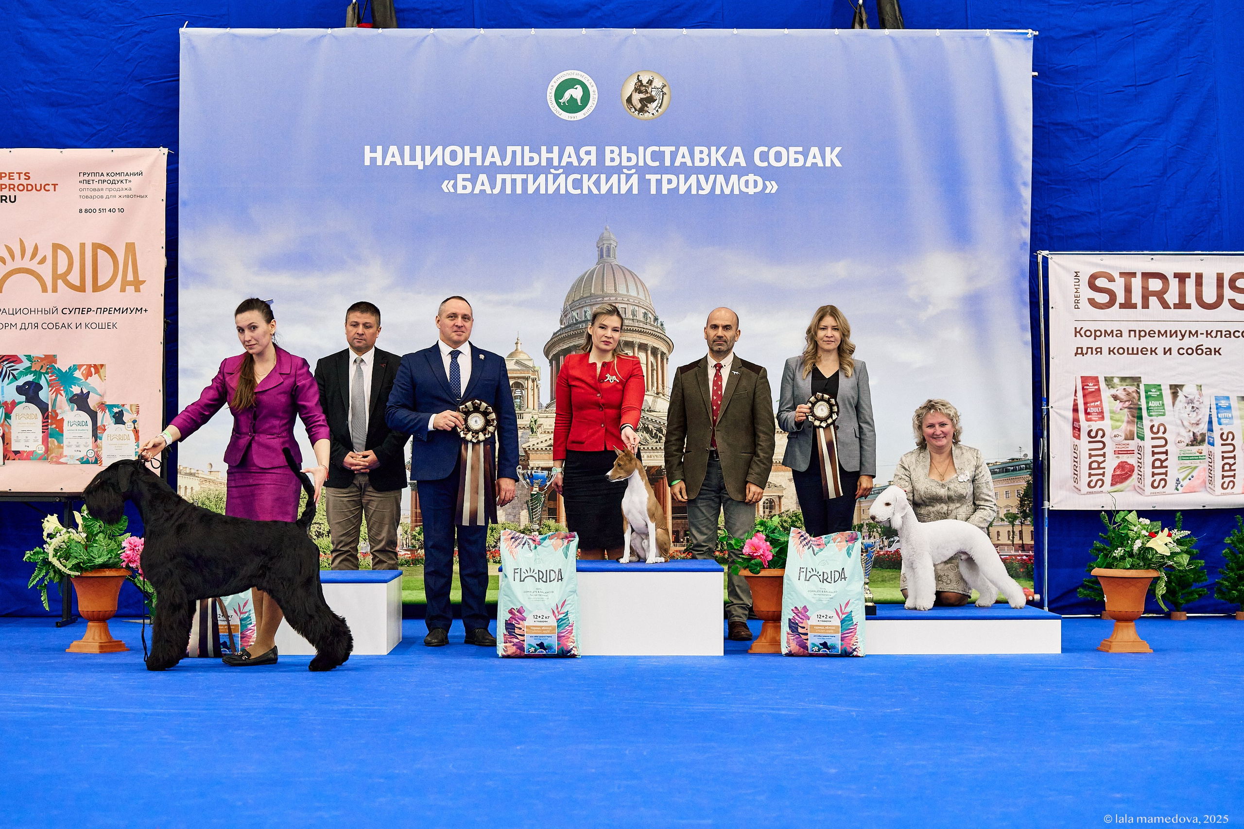 22-23 FEB 2025 | NATIONAL DOG SHOW «BALTIC TRIUMPH-2025»