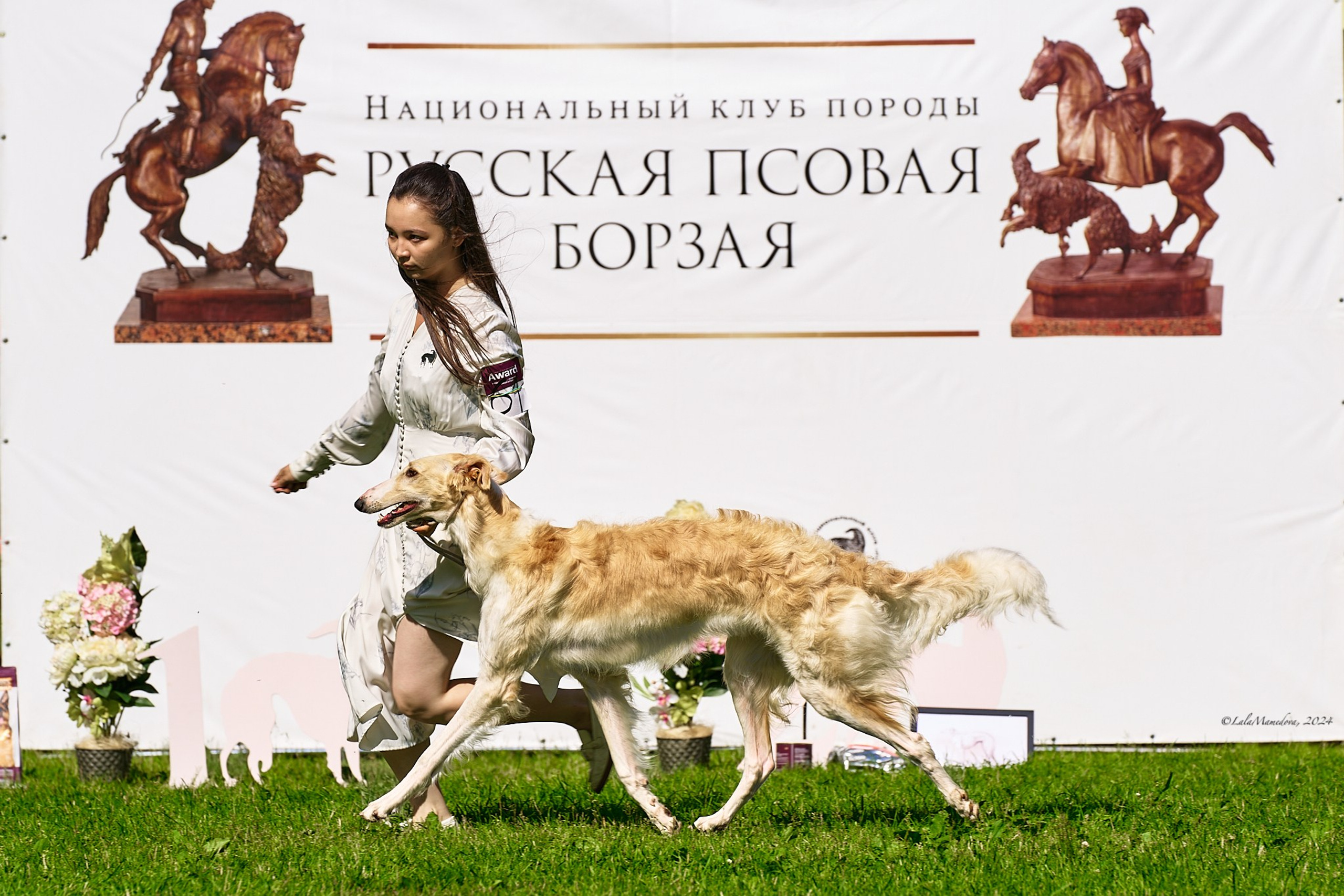 15.06.2024 | XXVIII НАЦИОНАЛЬНАЯ ВЫСТАВКА | РУССКАЯ ПСОВАЯ БОРЗАЯ