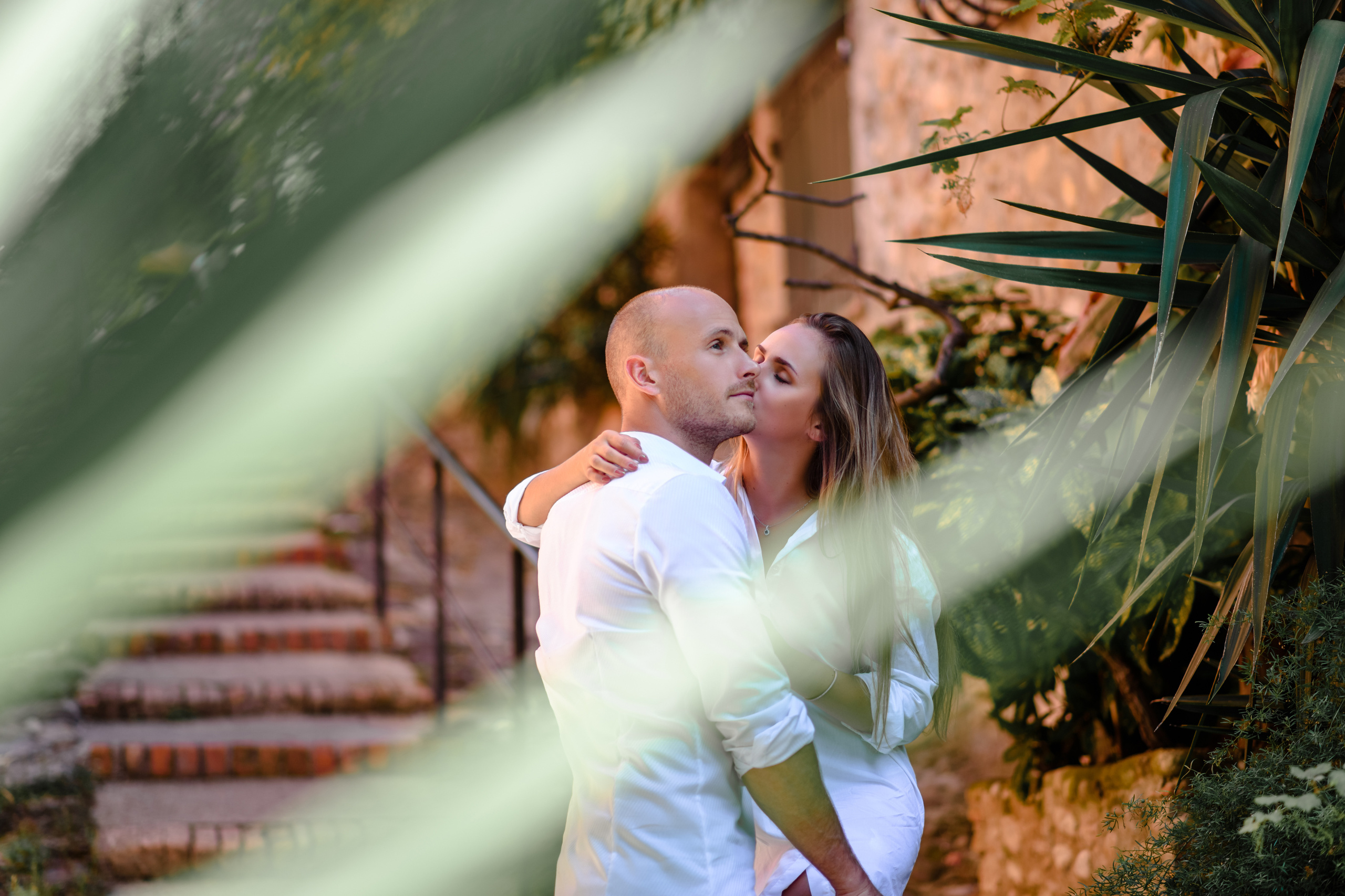 История любви в Провансе