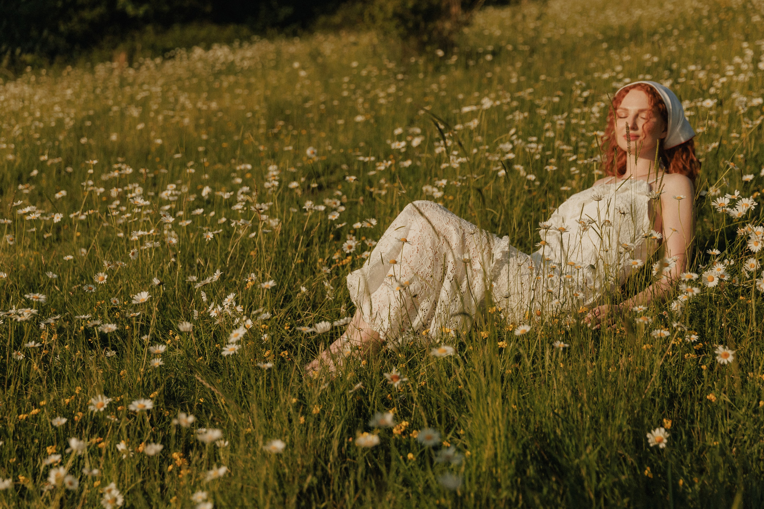 Привет, ромашки…