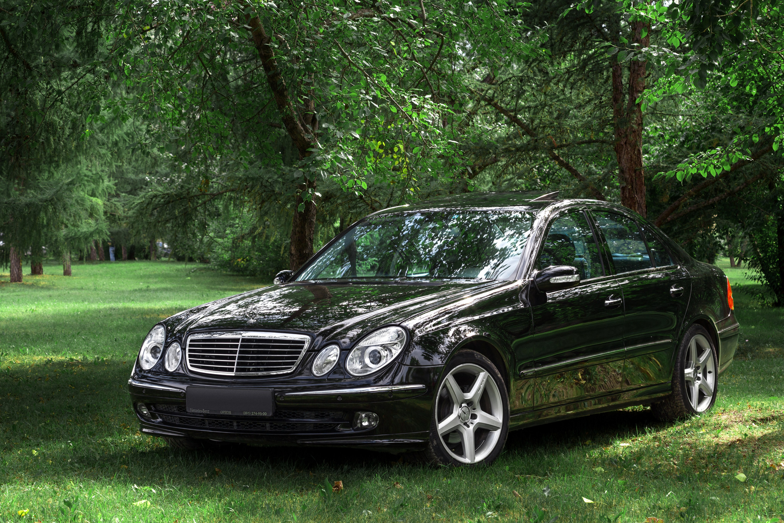 Mercedes для Evil Painter