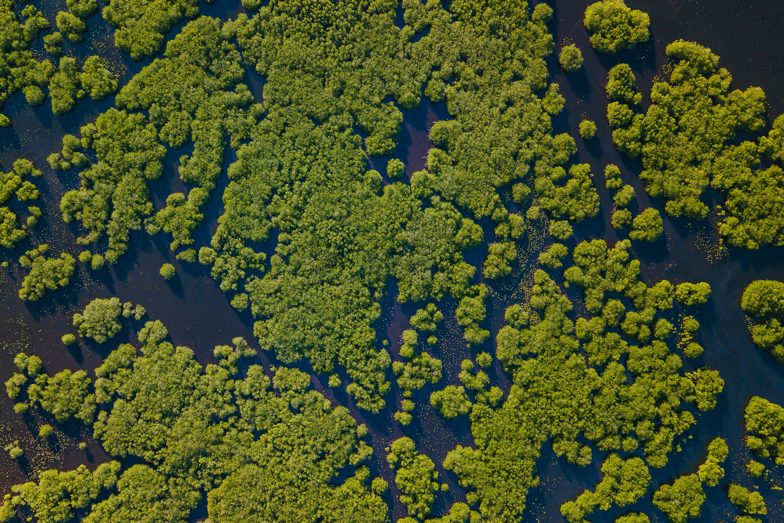Филиппины, фотографии с квадрокоптера