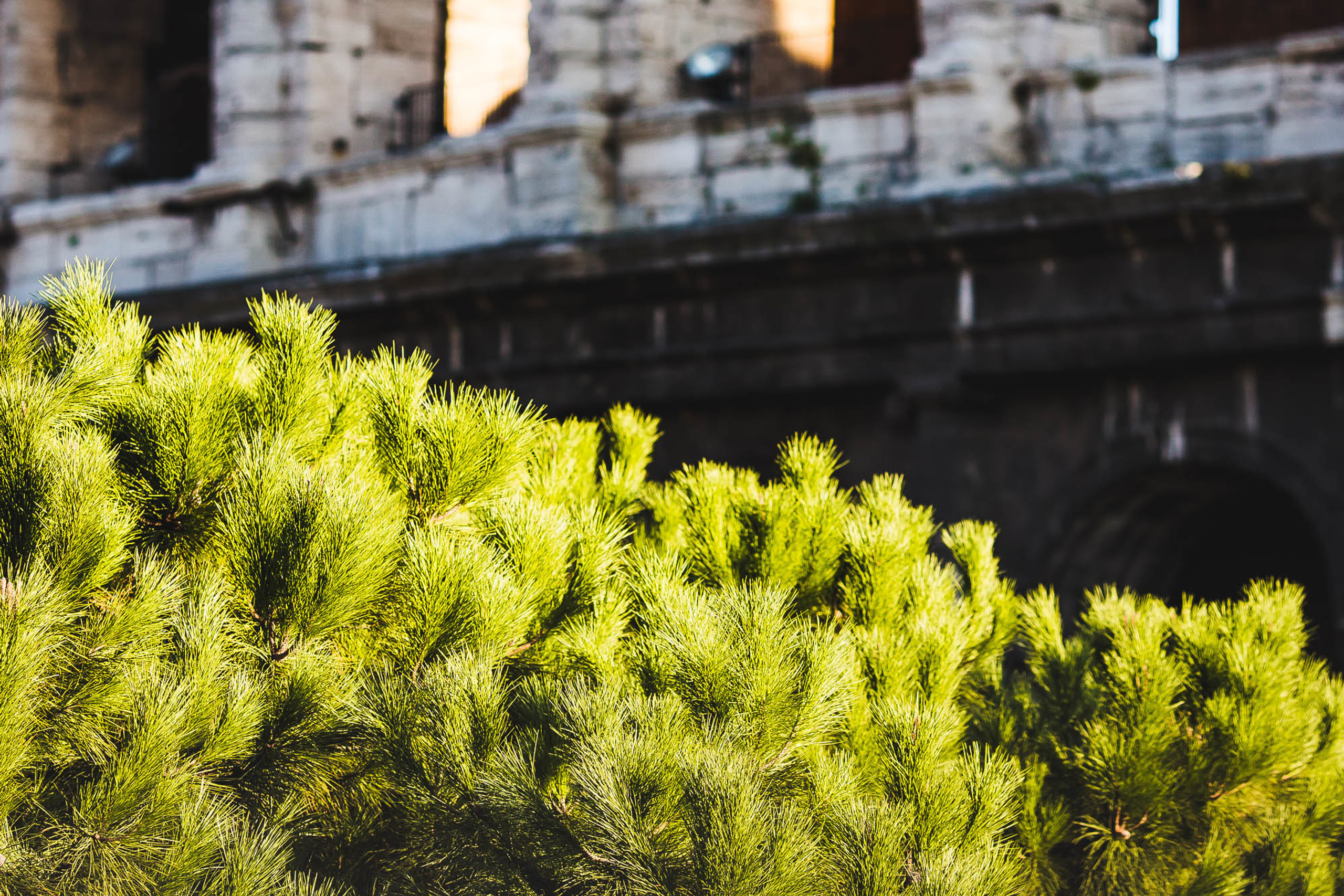 Рим. Фотограф Дмитрий Питерский