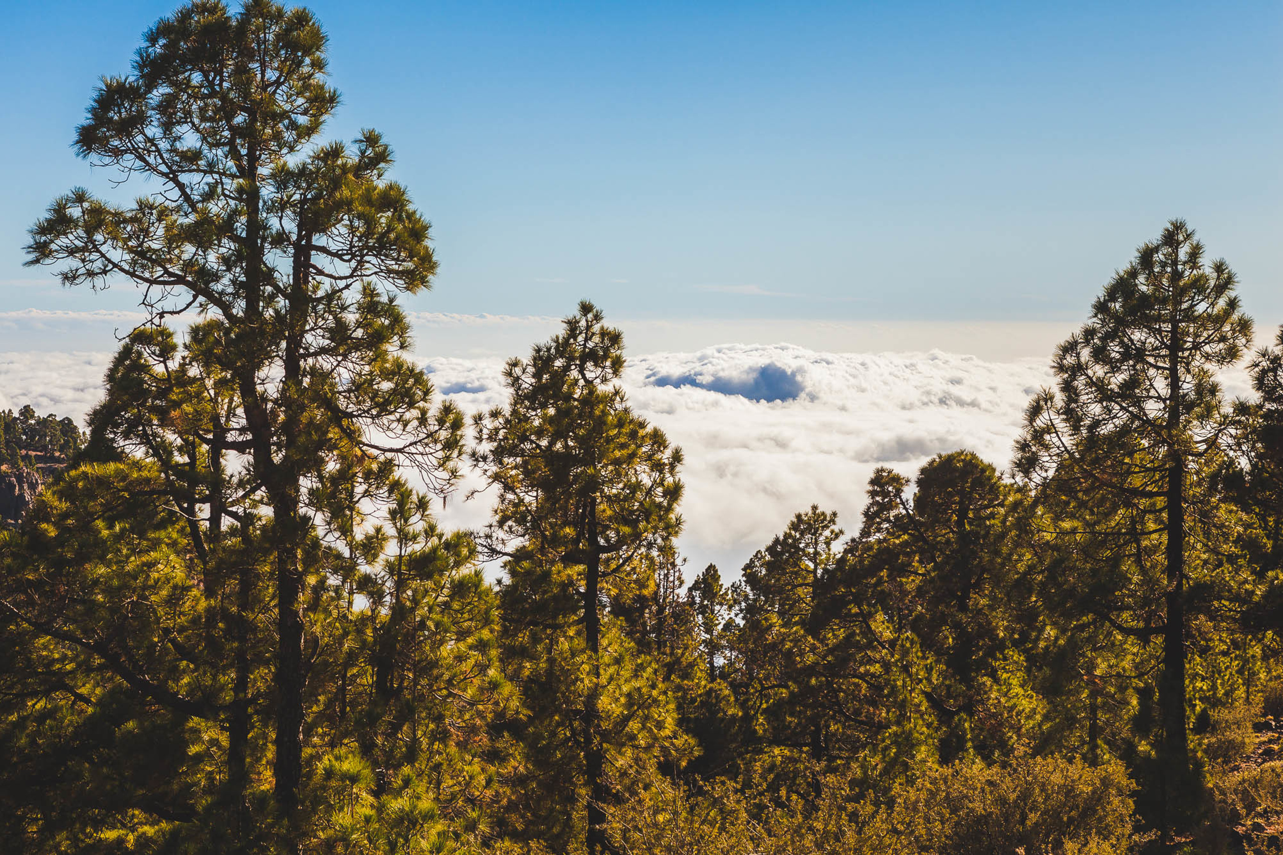 Тенерифе. Фотограф Дмитрий Питерский