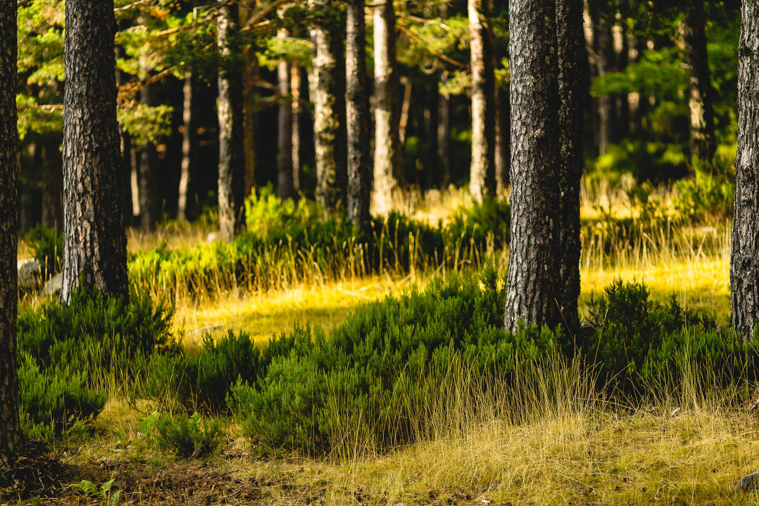 Испания. Фотограф Дмитрий Питерский