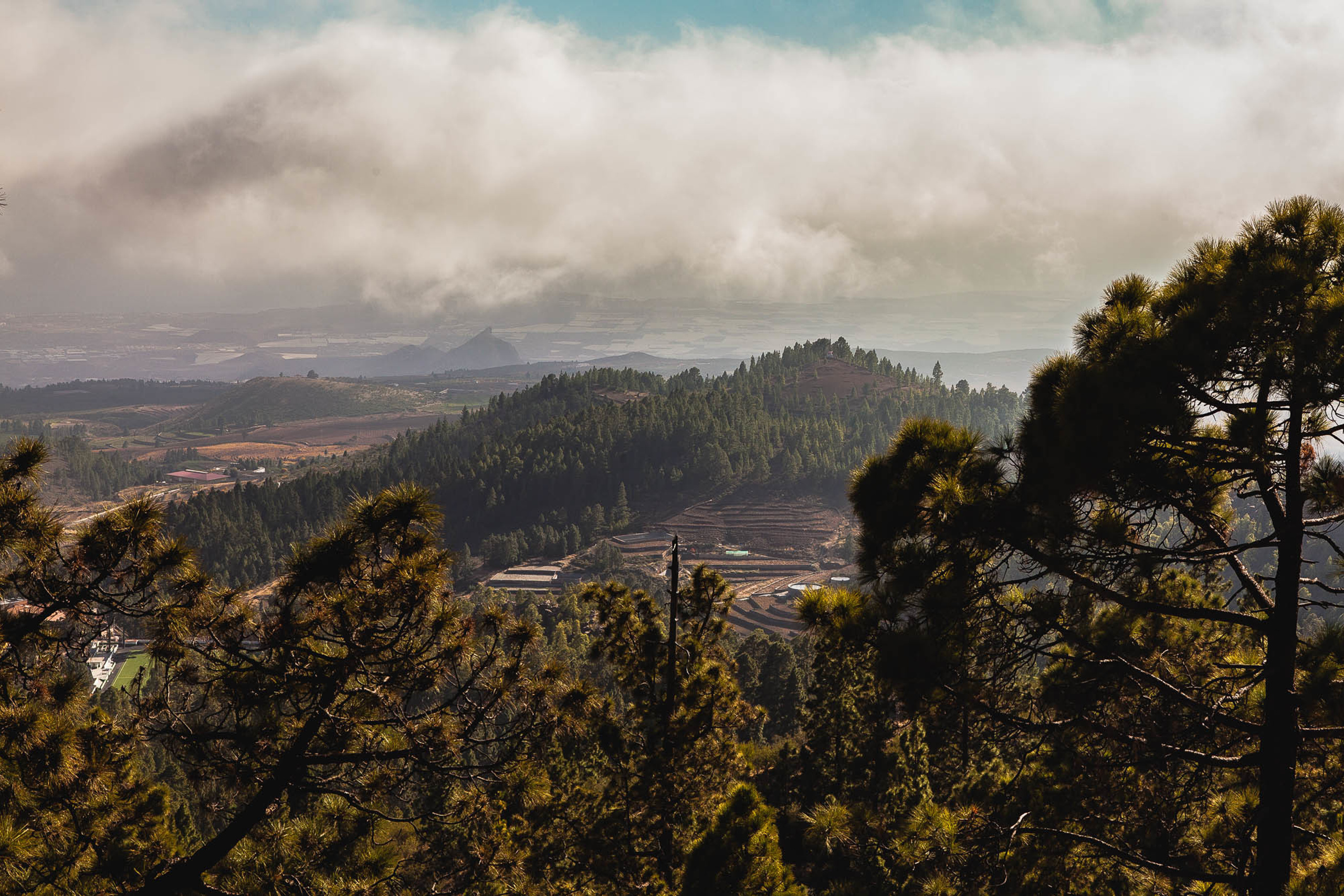 Тенерифе. Фотограф Дмитрий Питерский