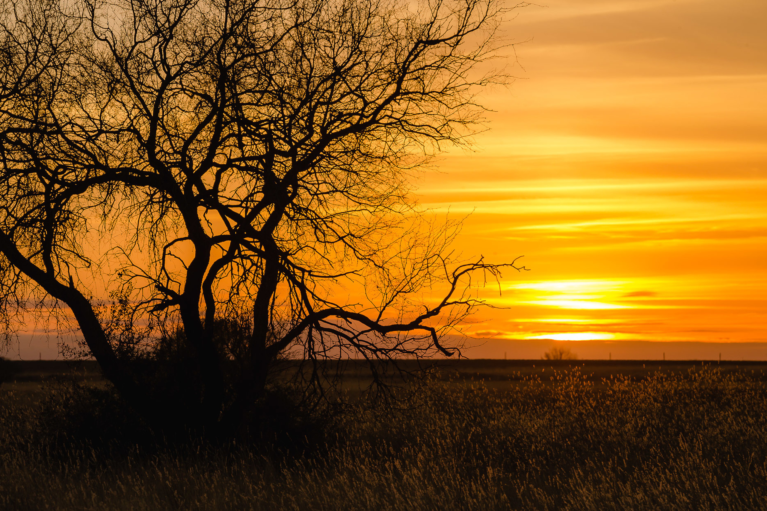 Техас. Фотограф Дмитрий Питерский
