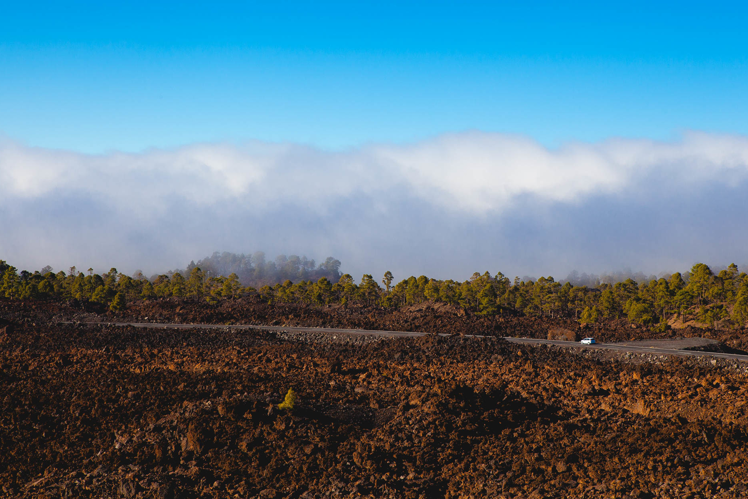 Тенерифе. Фотограф Дмитрий Питерский