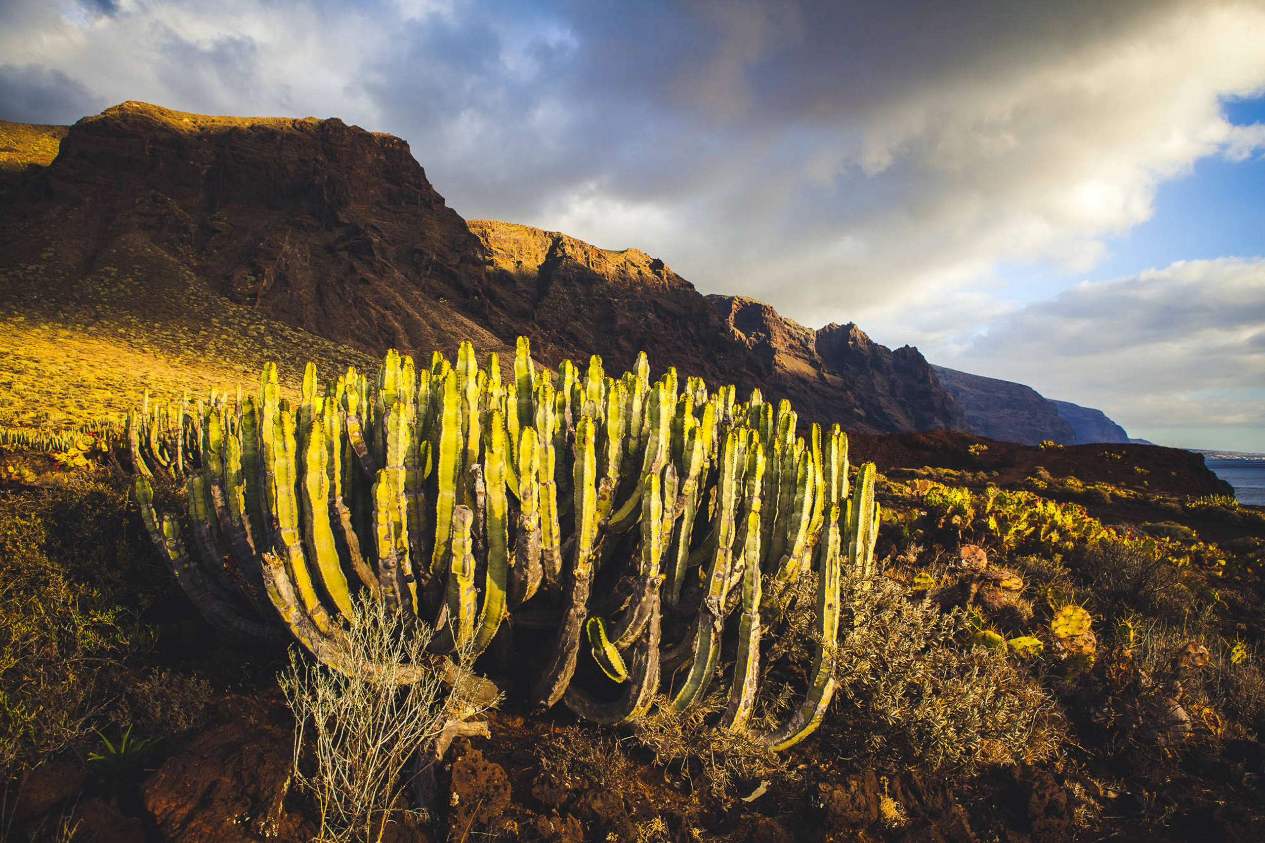 Тенерифе. Фотограф Дмитрий Питерский