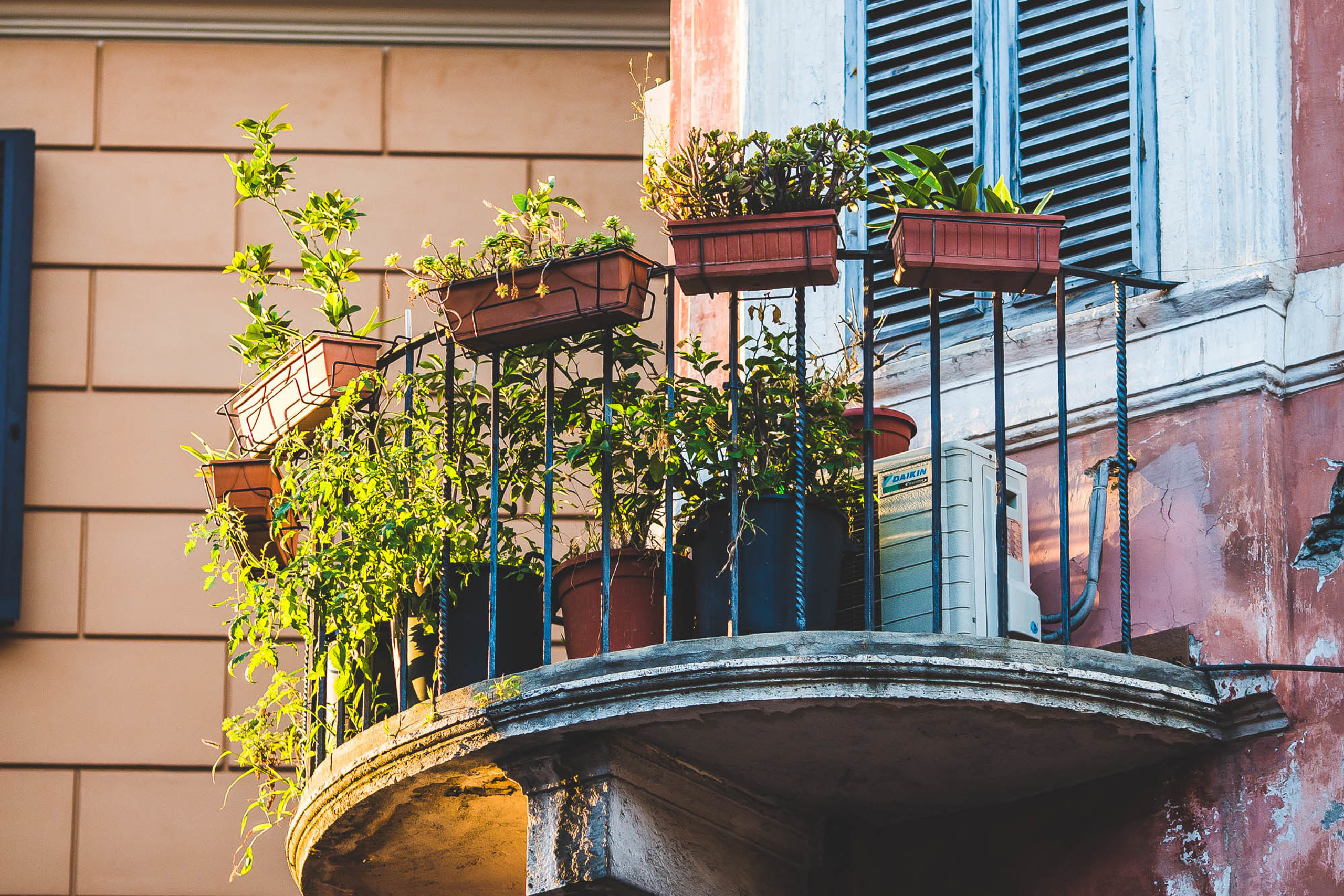 Рим. Фотограф Дмитрий Питерский