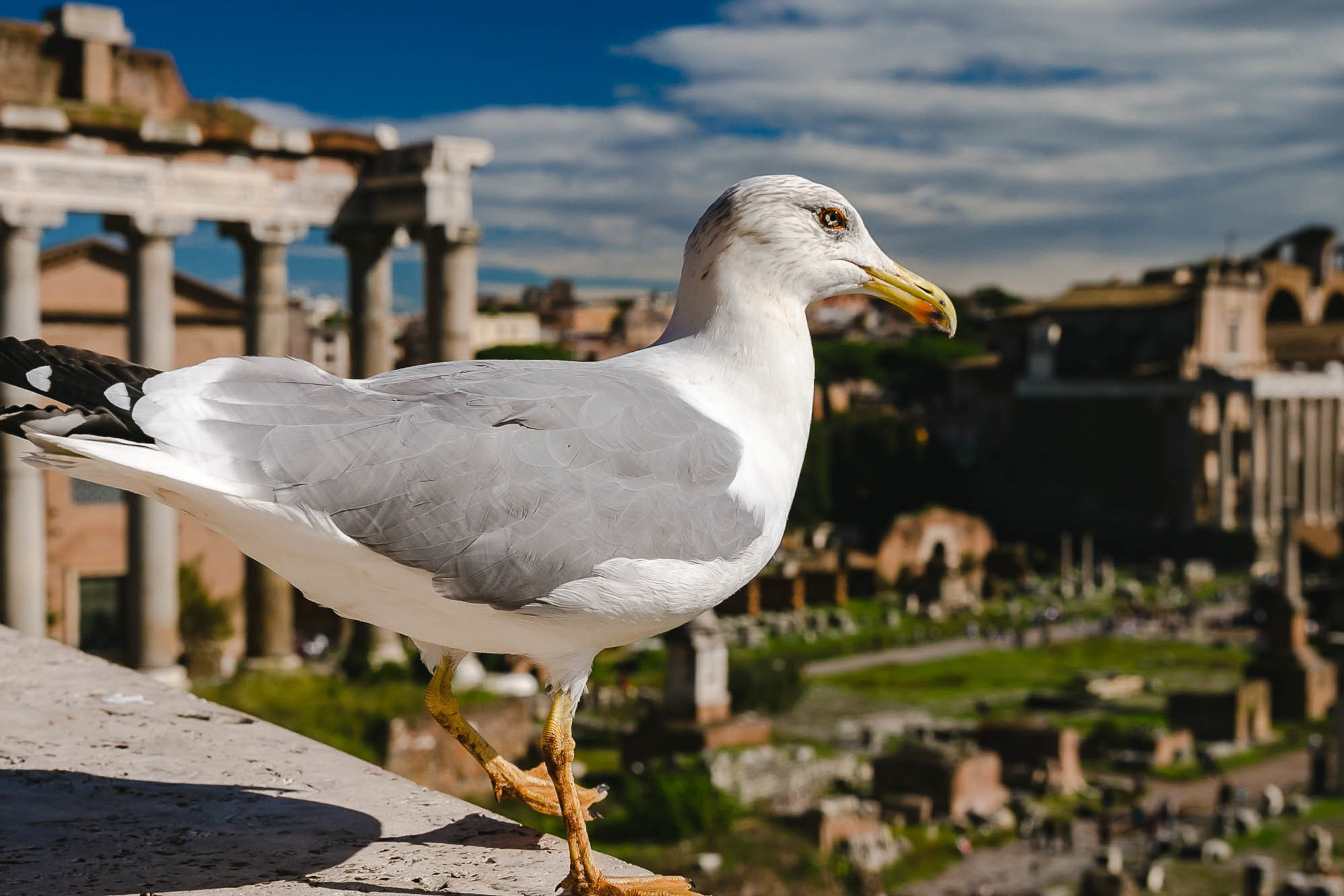 Италия. Фотограф Дмитрий Питерский