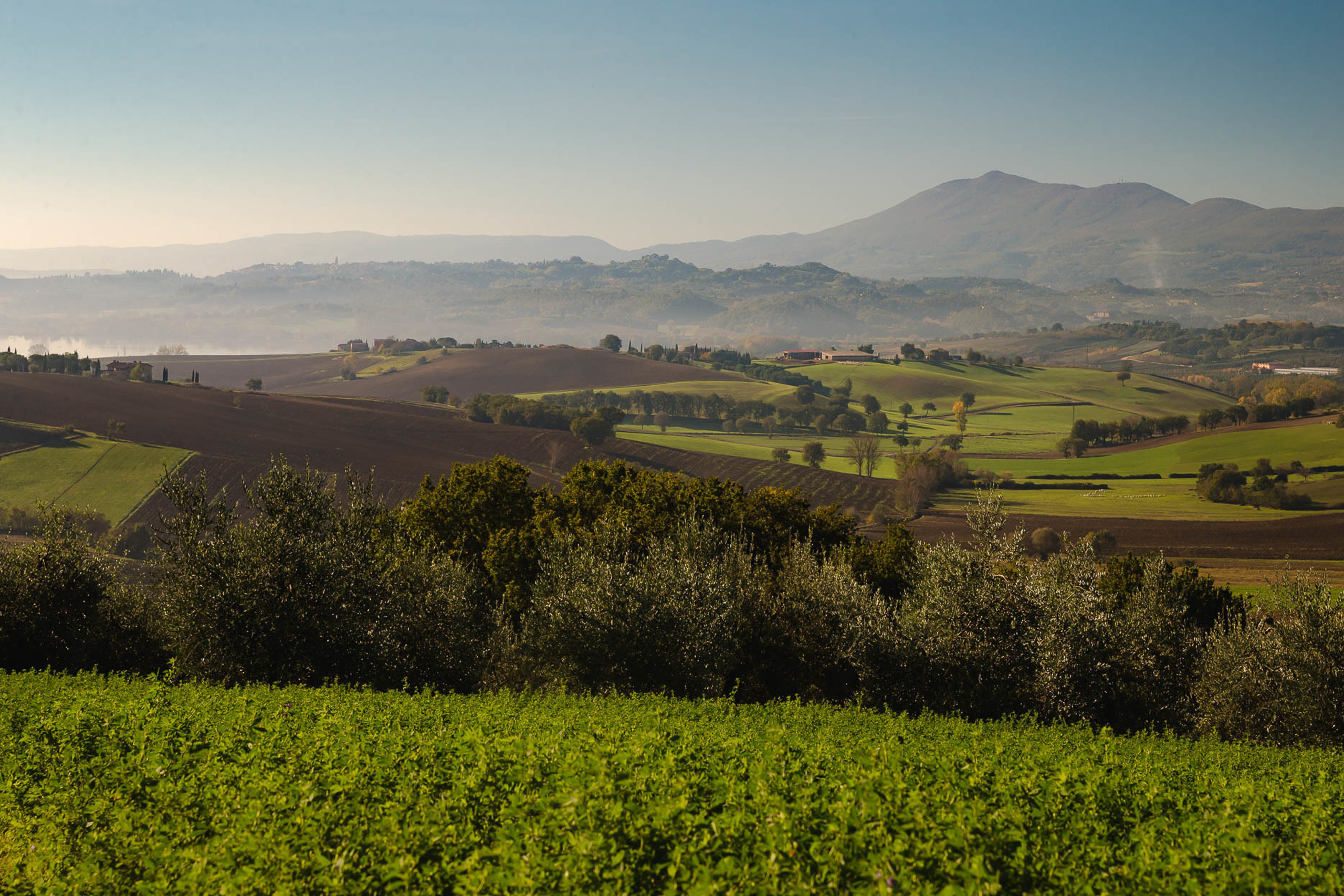 Италия. Фотограф Дмитрий Питерский