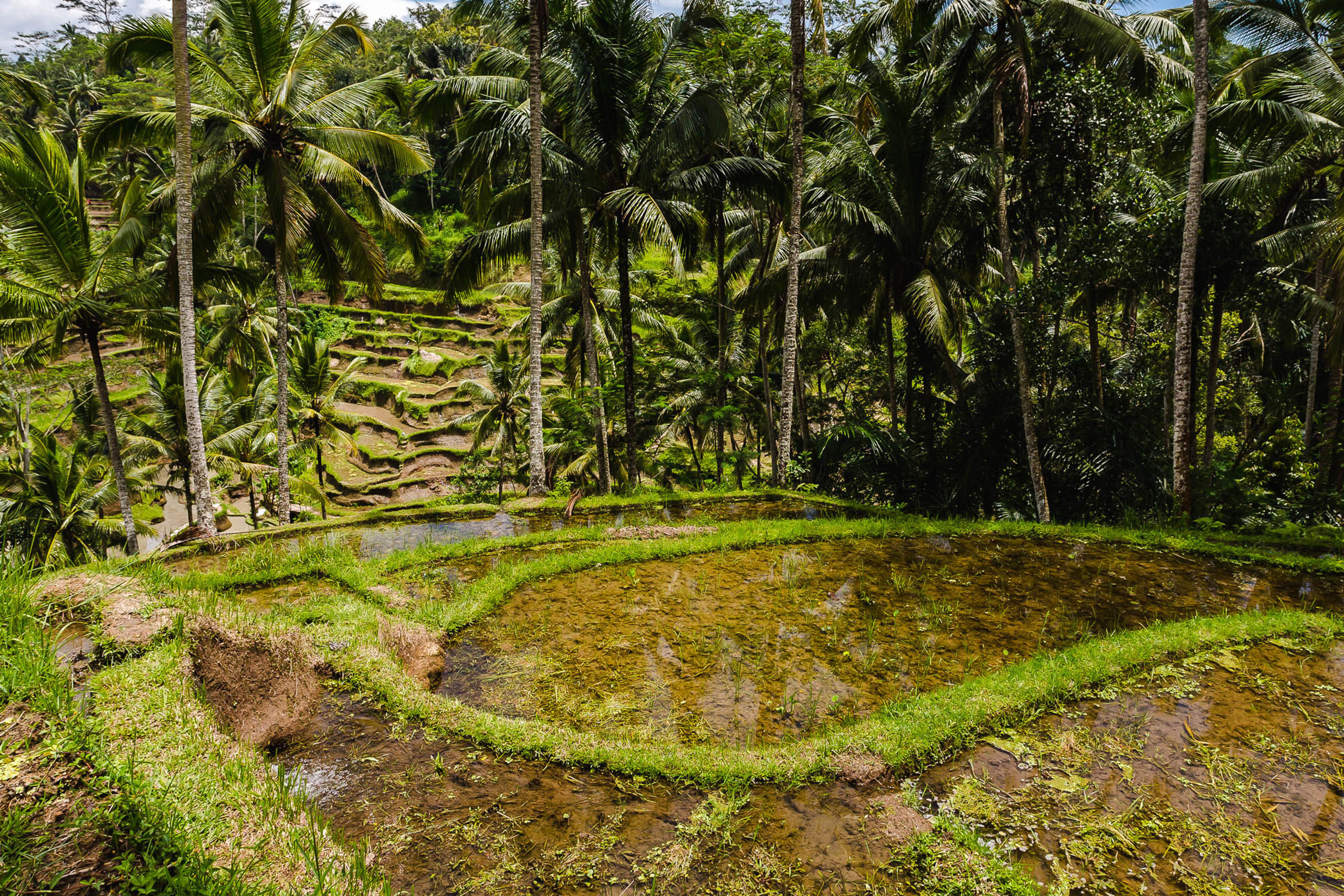 Индонезия. Фотограф Дмитрий Питерский