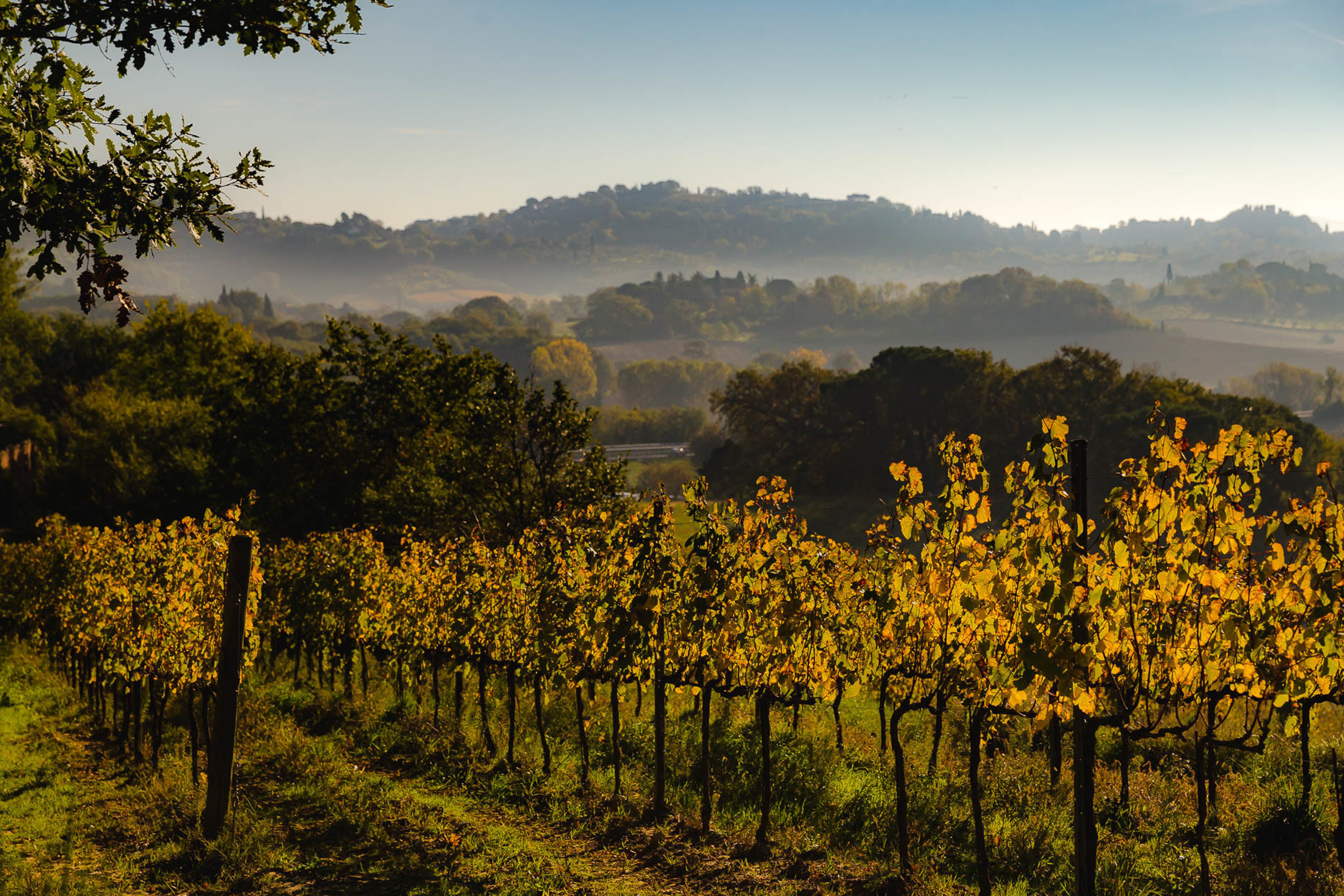 Италия. Фотограф Дмитрий Питерский