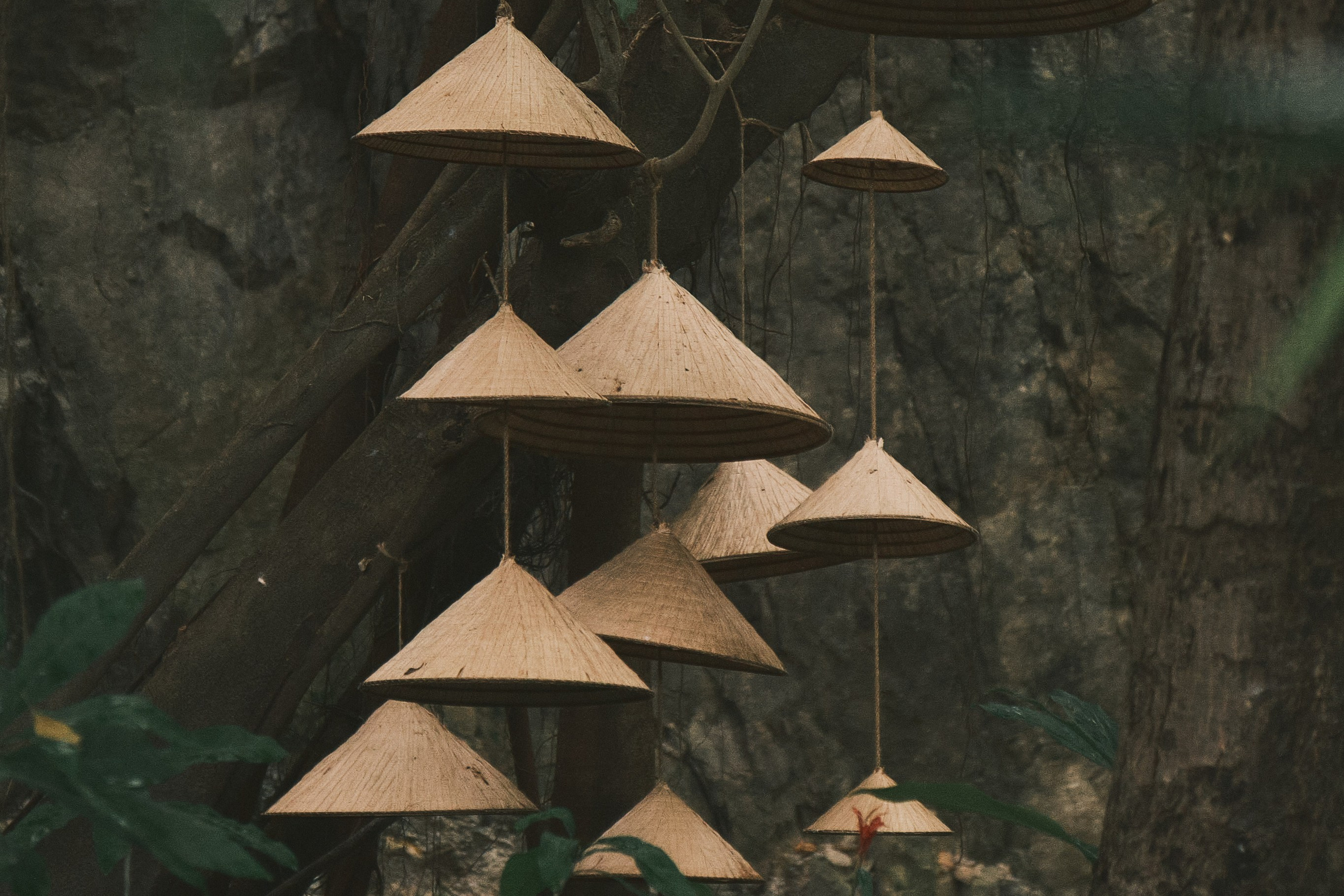 Chụt T Coffee
