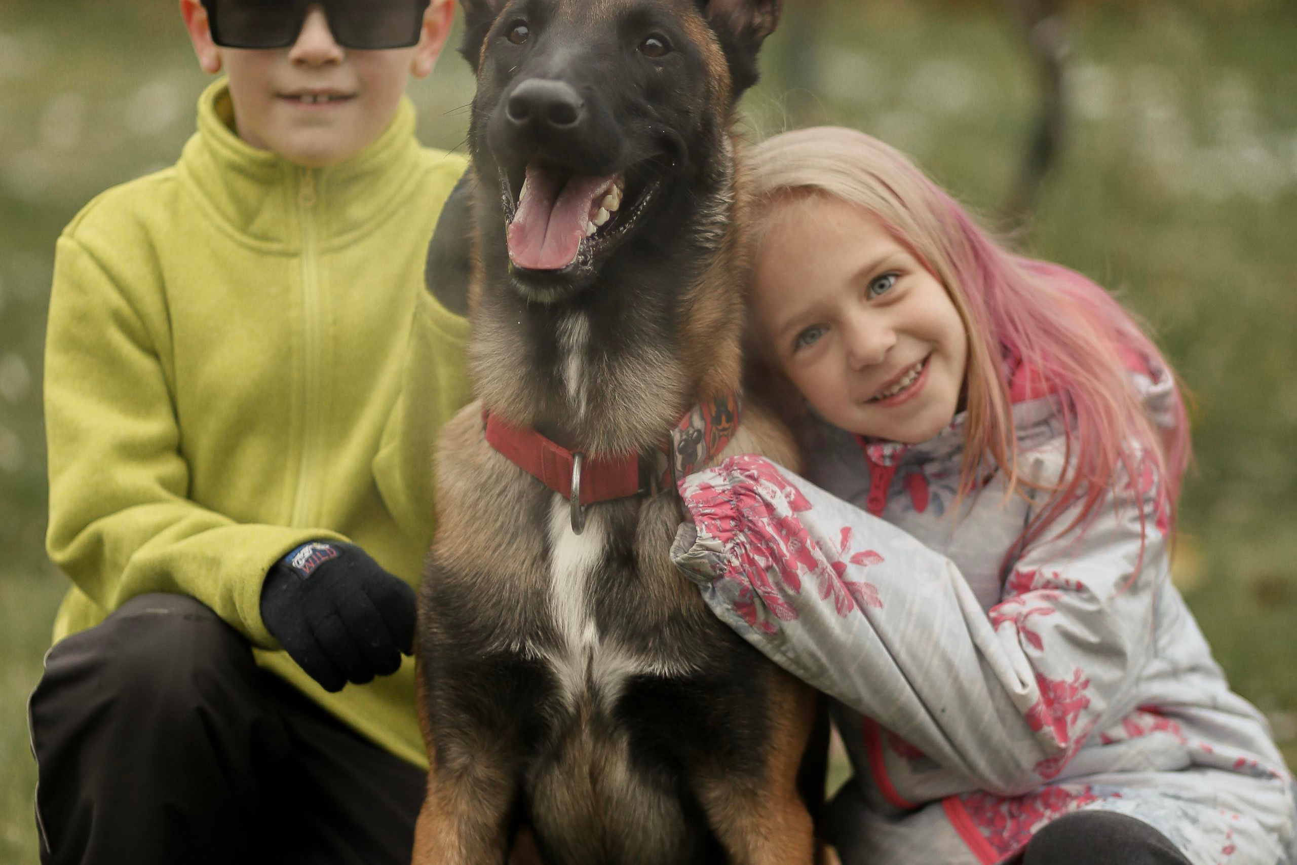 Сим и Компания