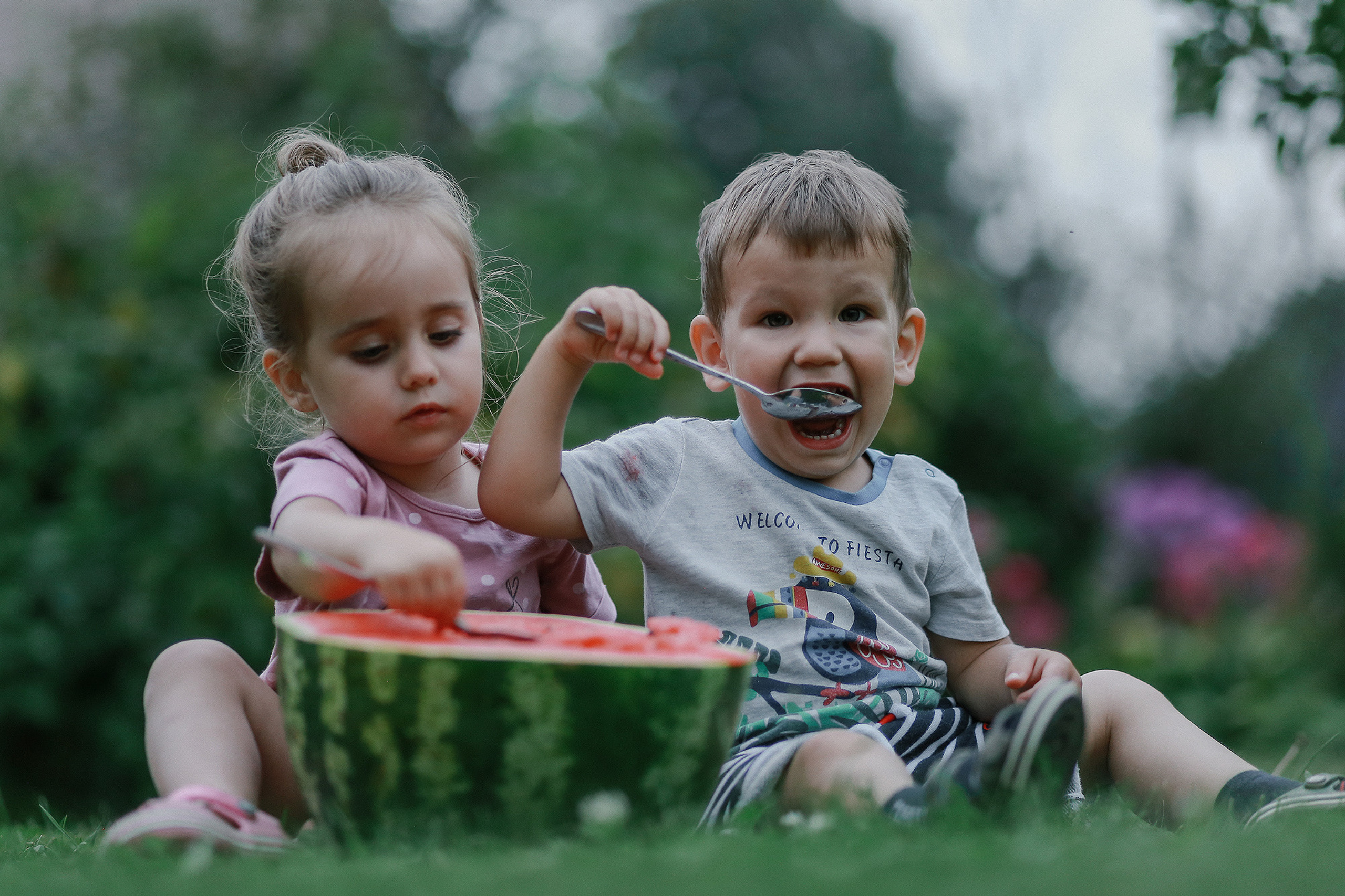 Сёма, Кот и Пёс