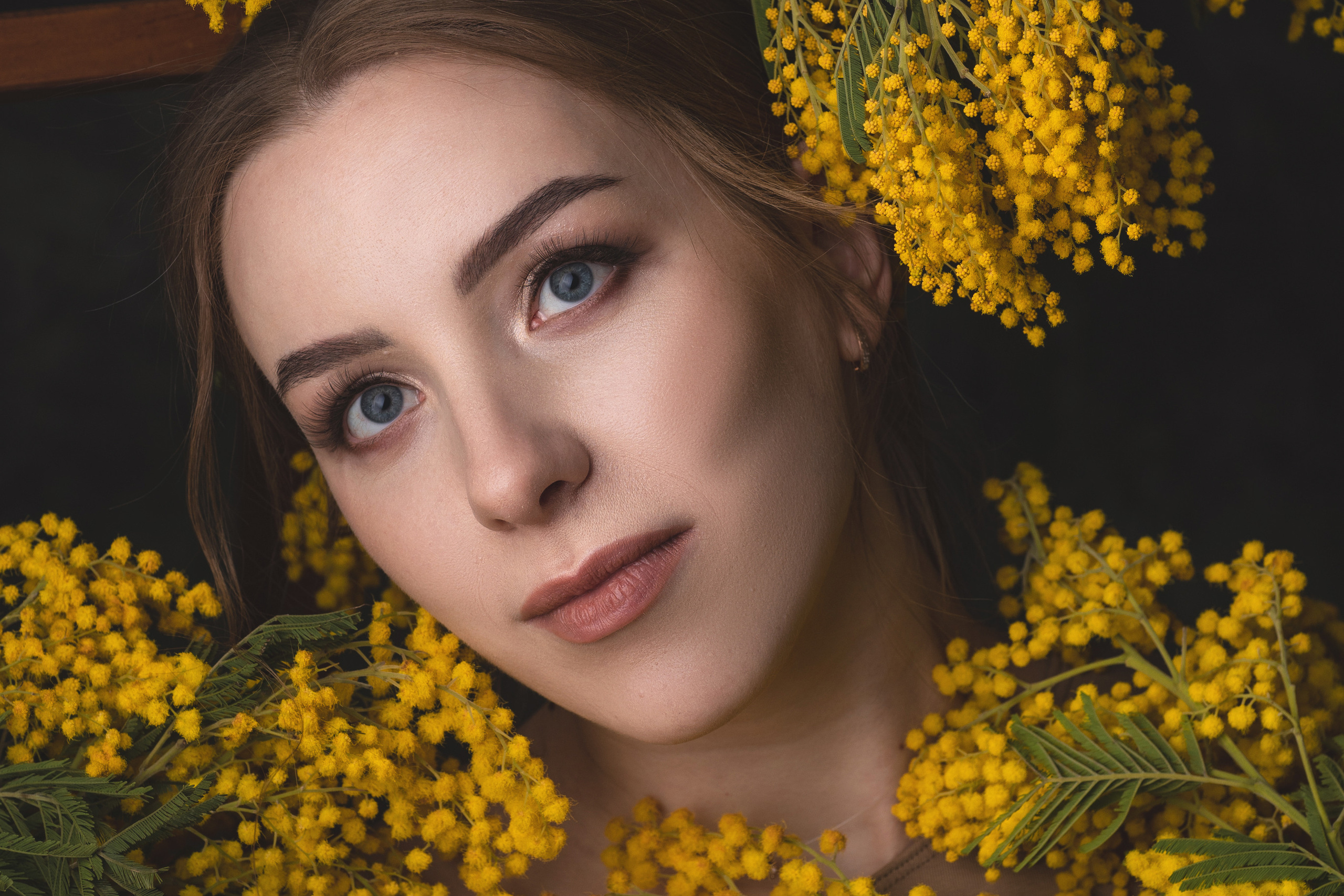 Мимозная беременность