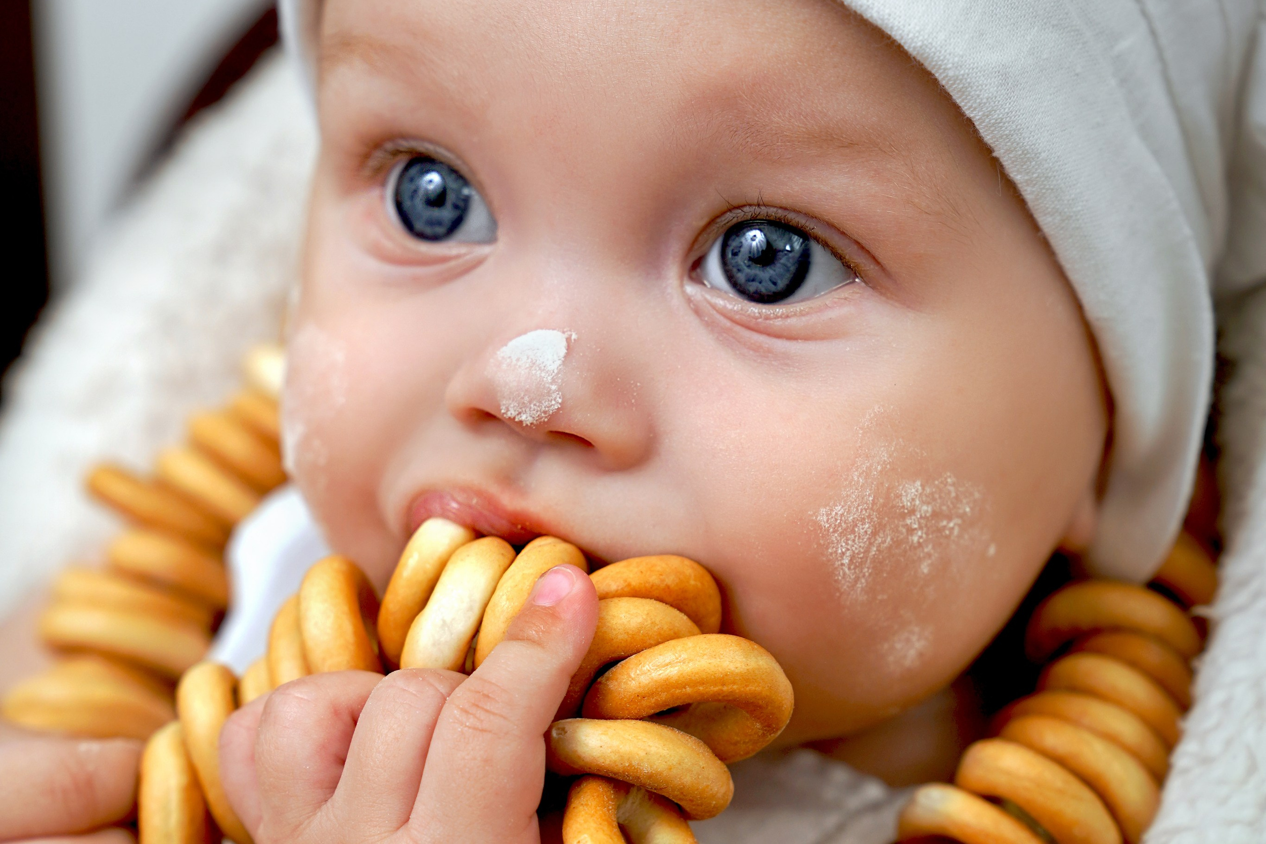 фотопроект Поваренок