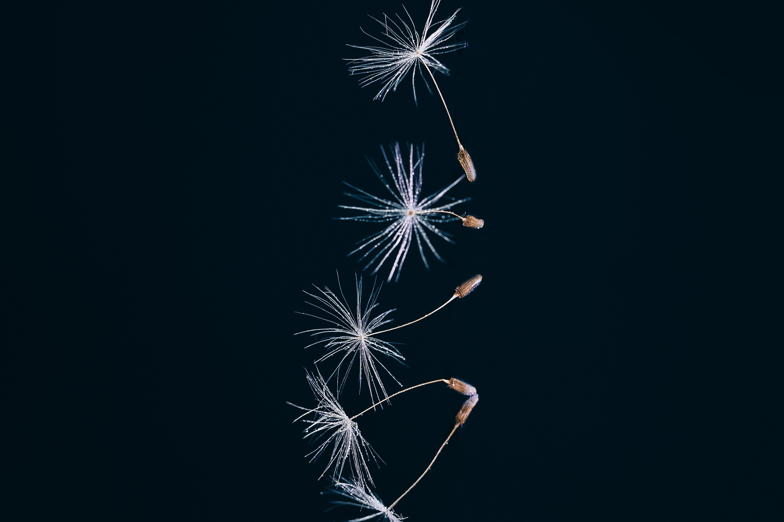 Макро • Macro