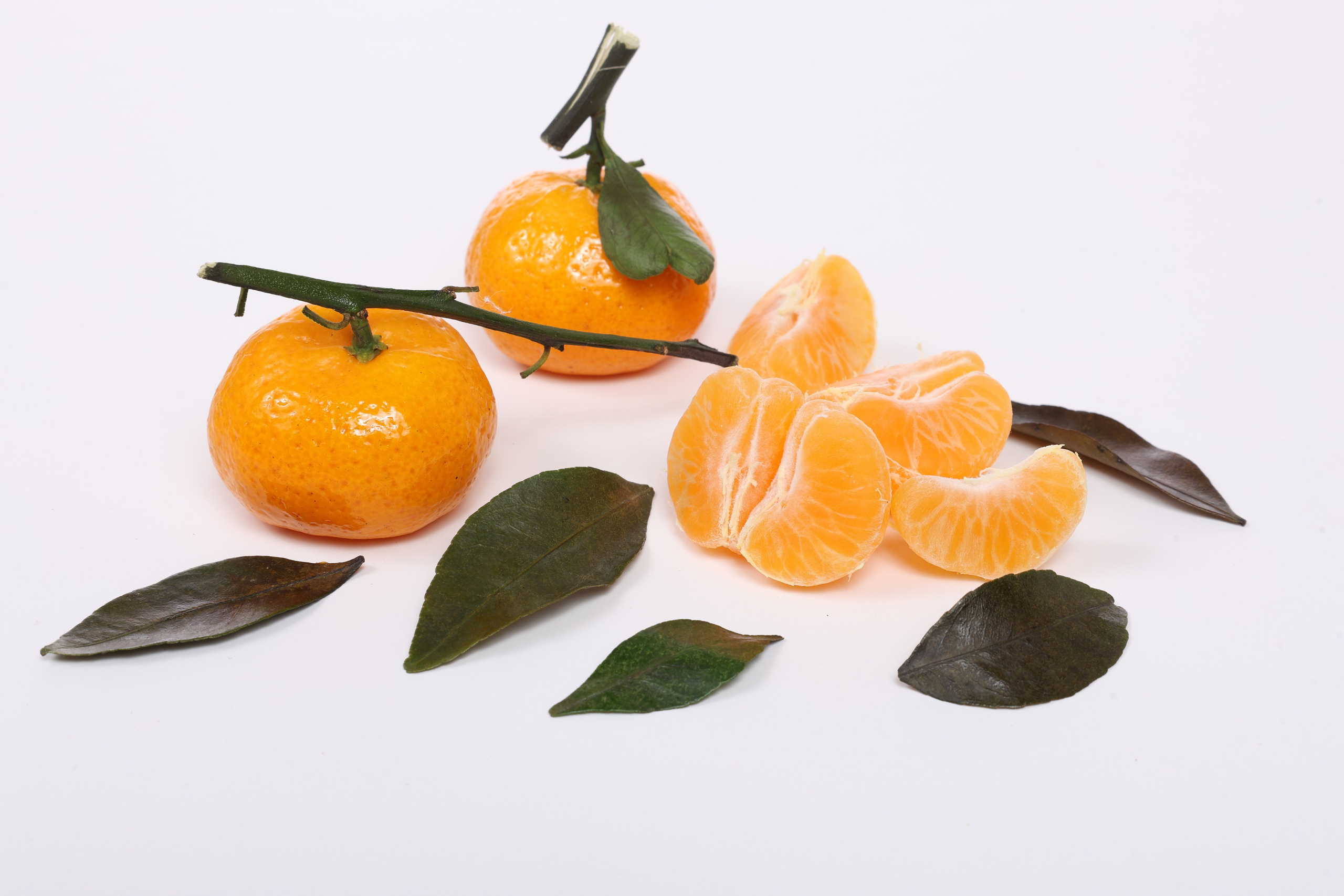 Продукты. Главная