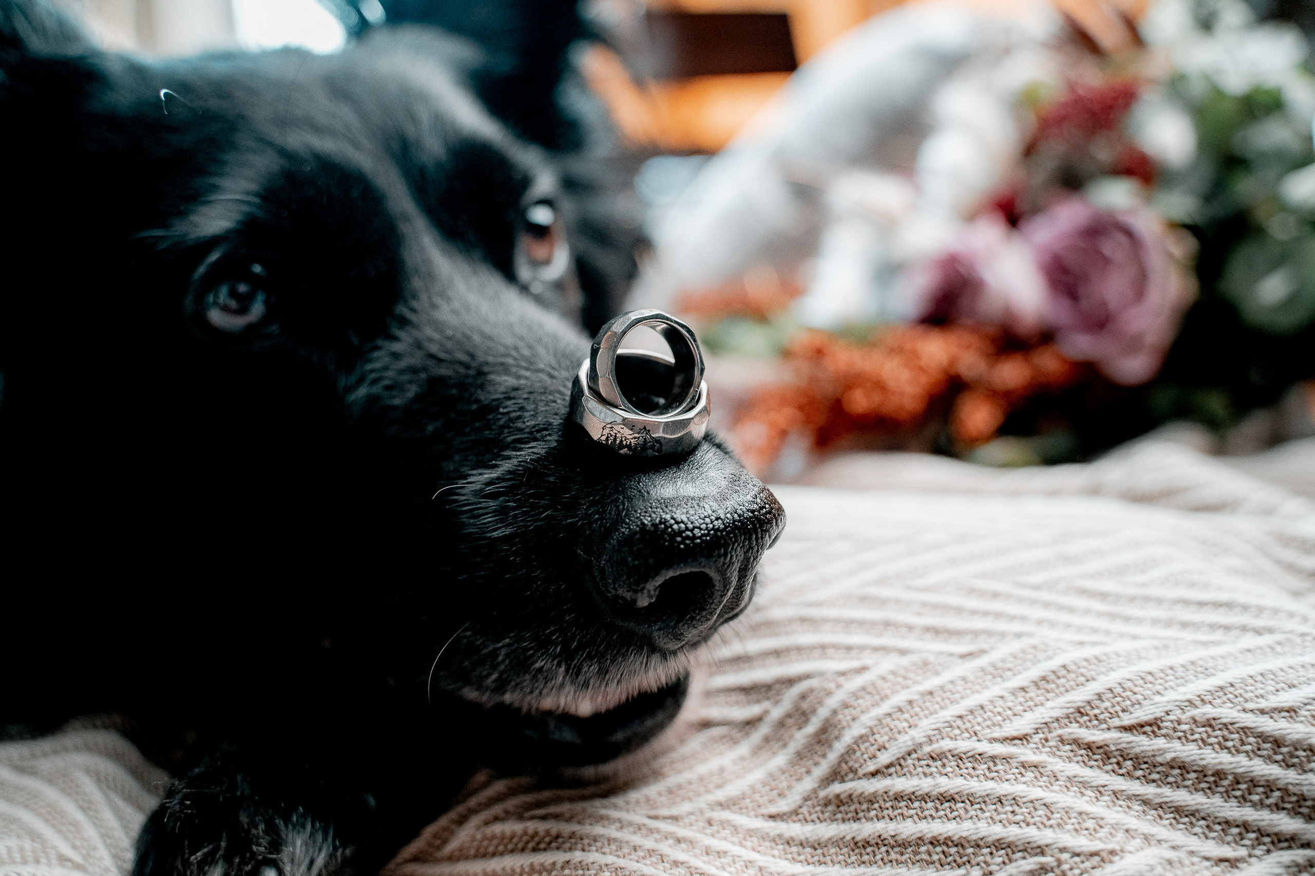 Денис и Александра