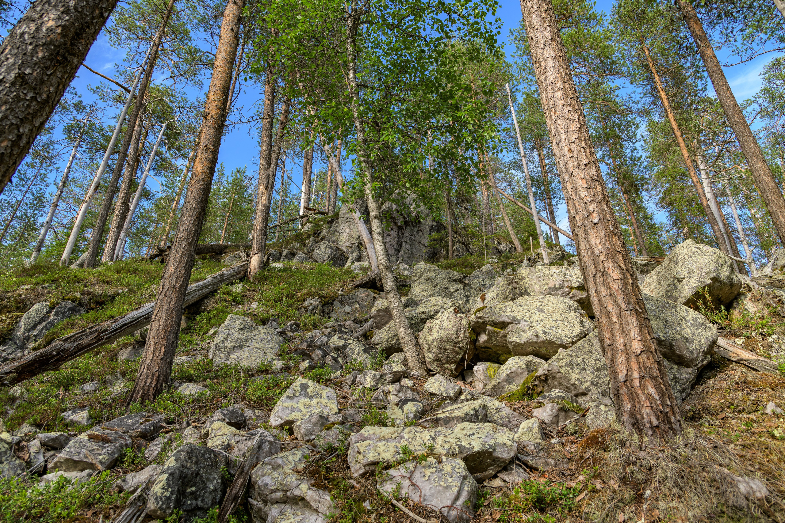 Журнал. Северные Ночи