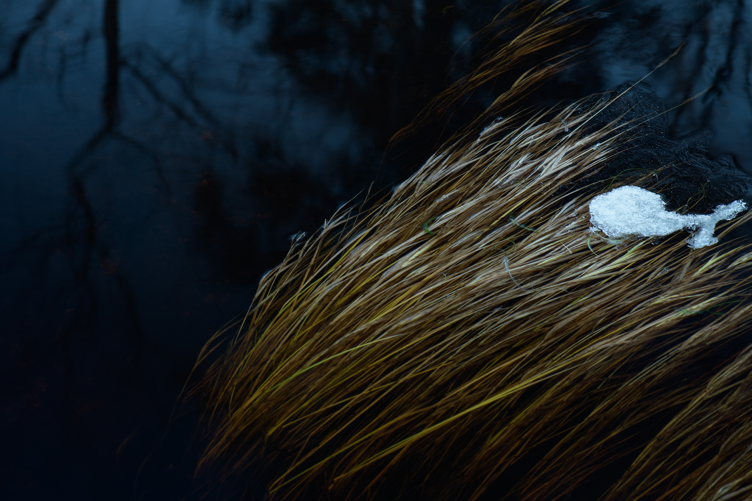 Журнал. Северные Ночи