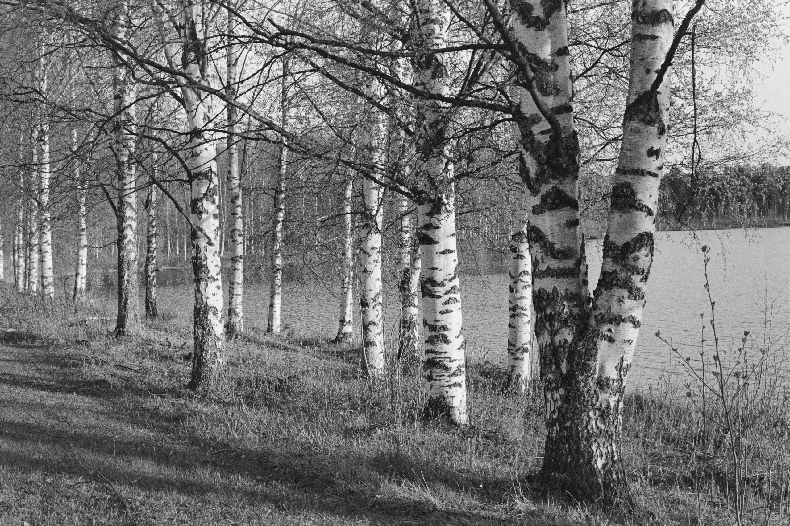 Журнал. Северные Ночи