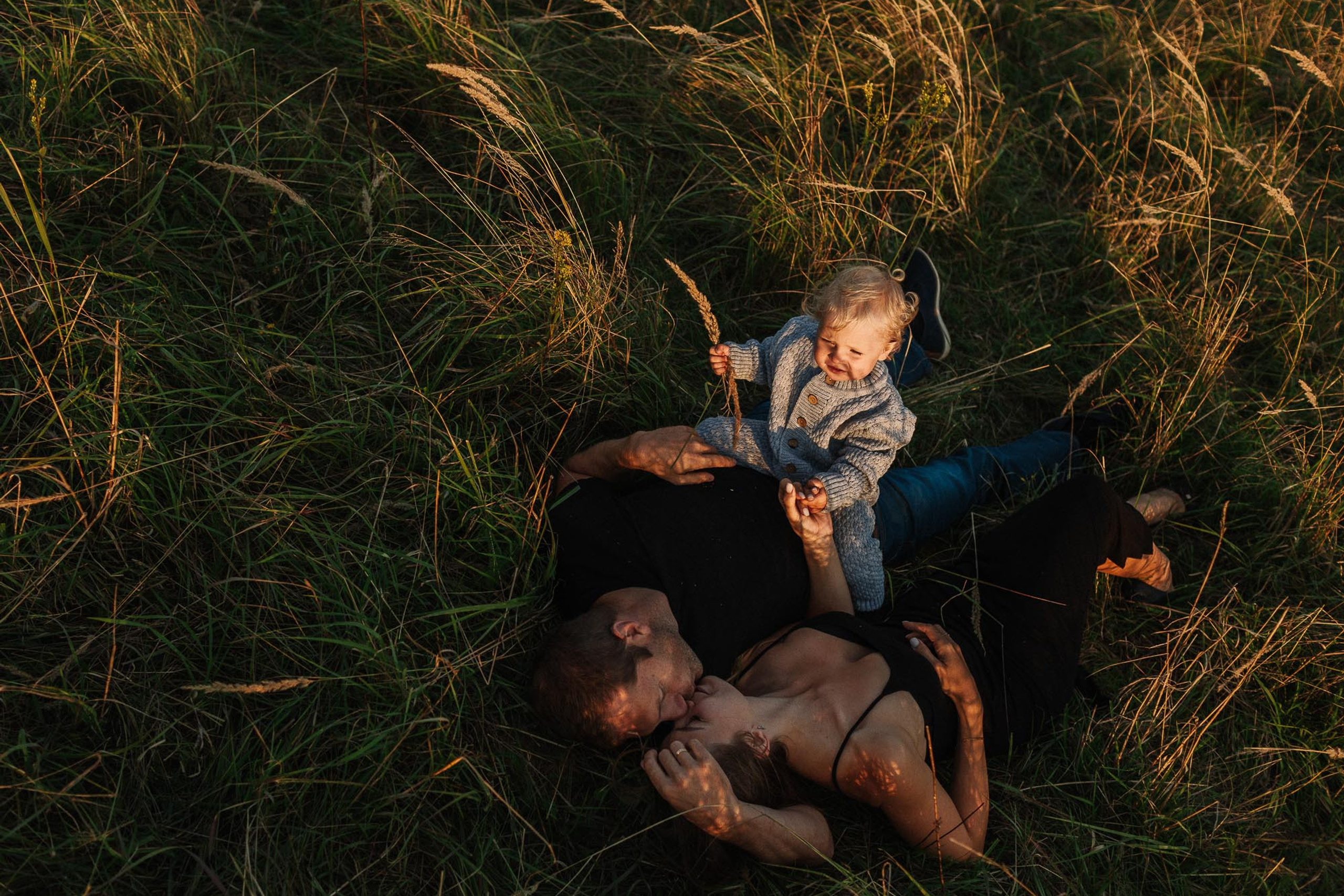 В закатных полях