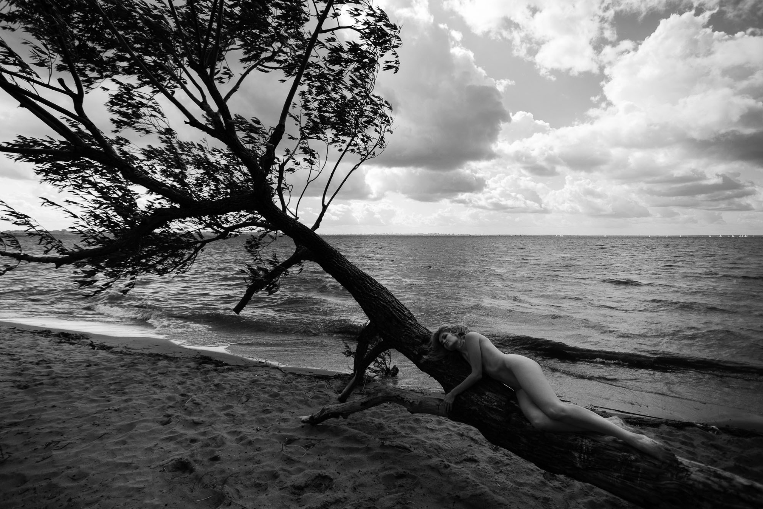 С ветром заодно