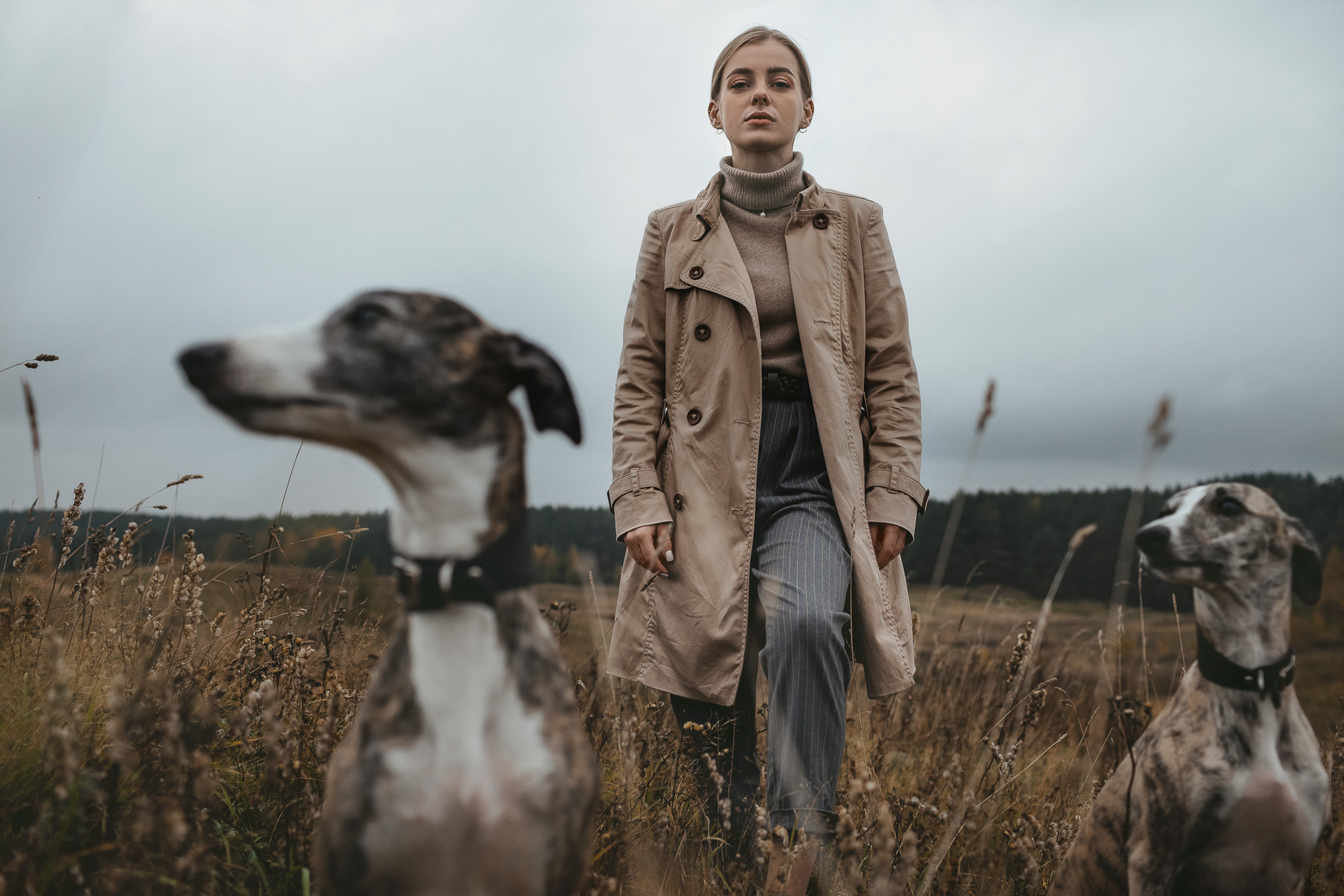 Воспоминания о царской охоте