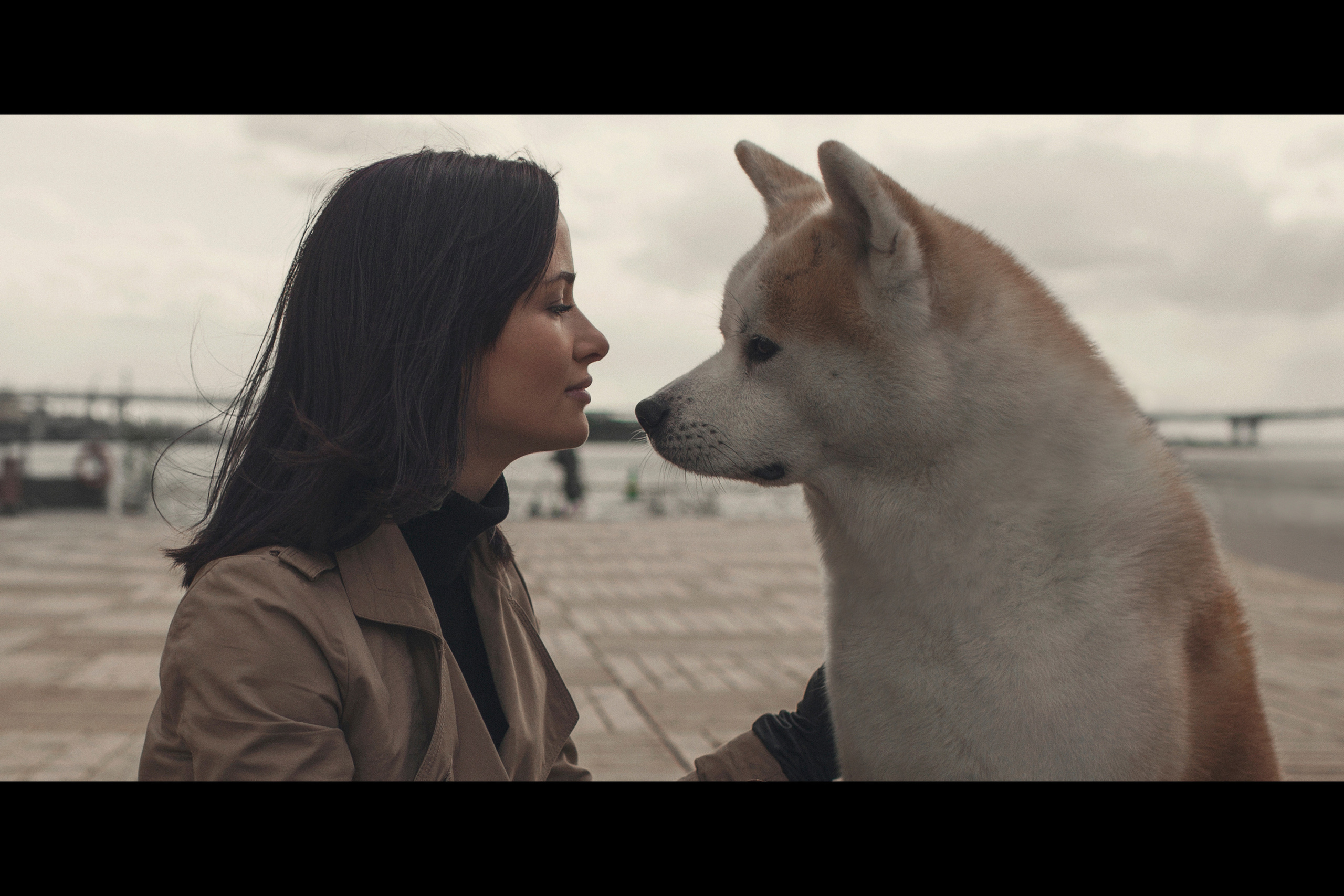 Он принесет тебе мяч, но на это будет особая причина