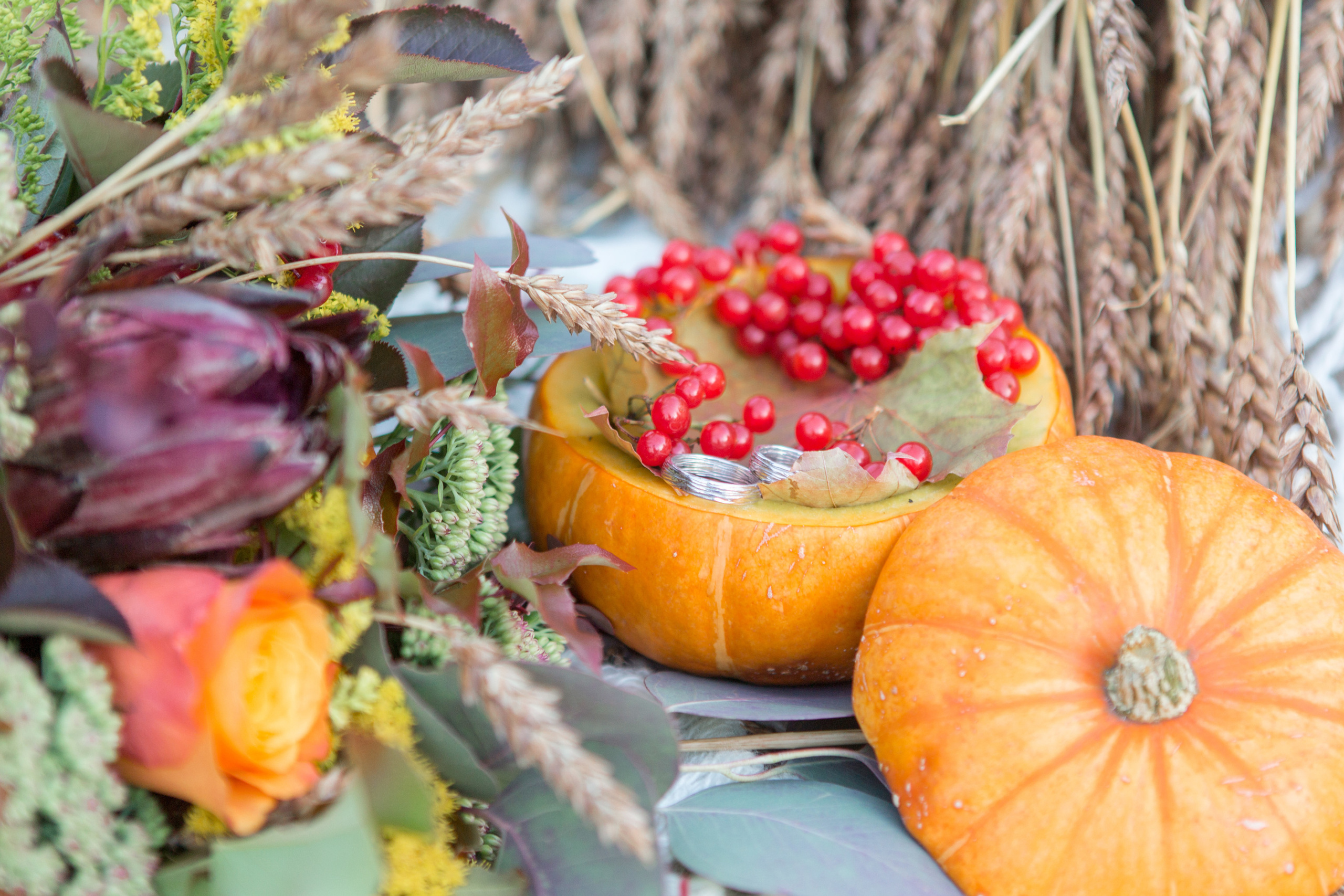 Золотая осень