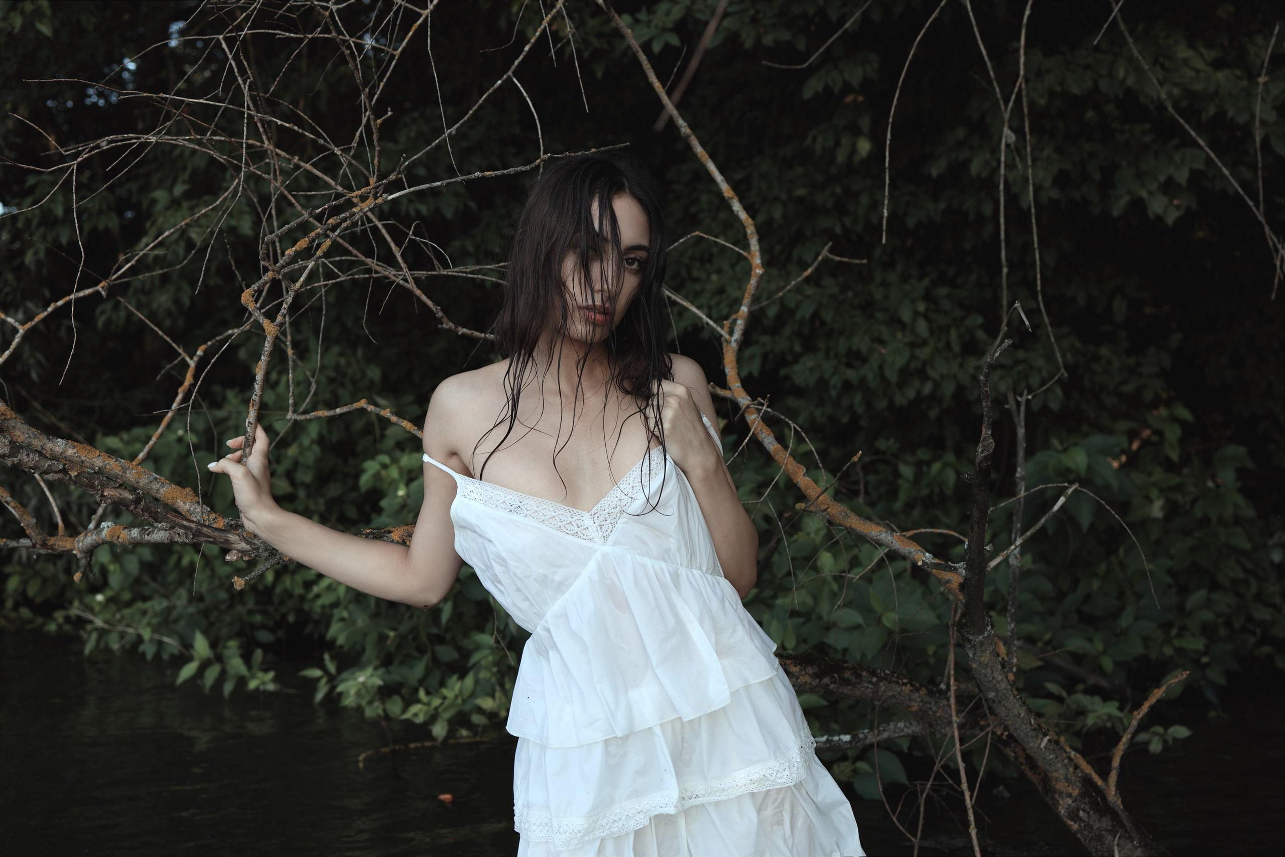 Ύδωρ και δάσος