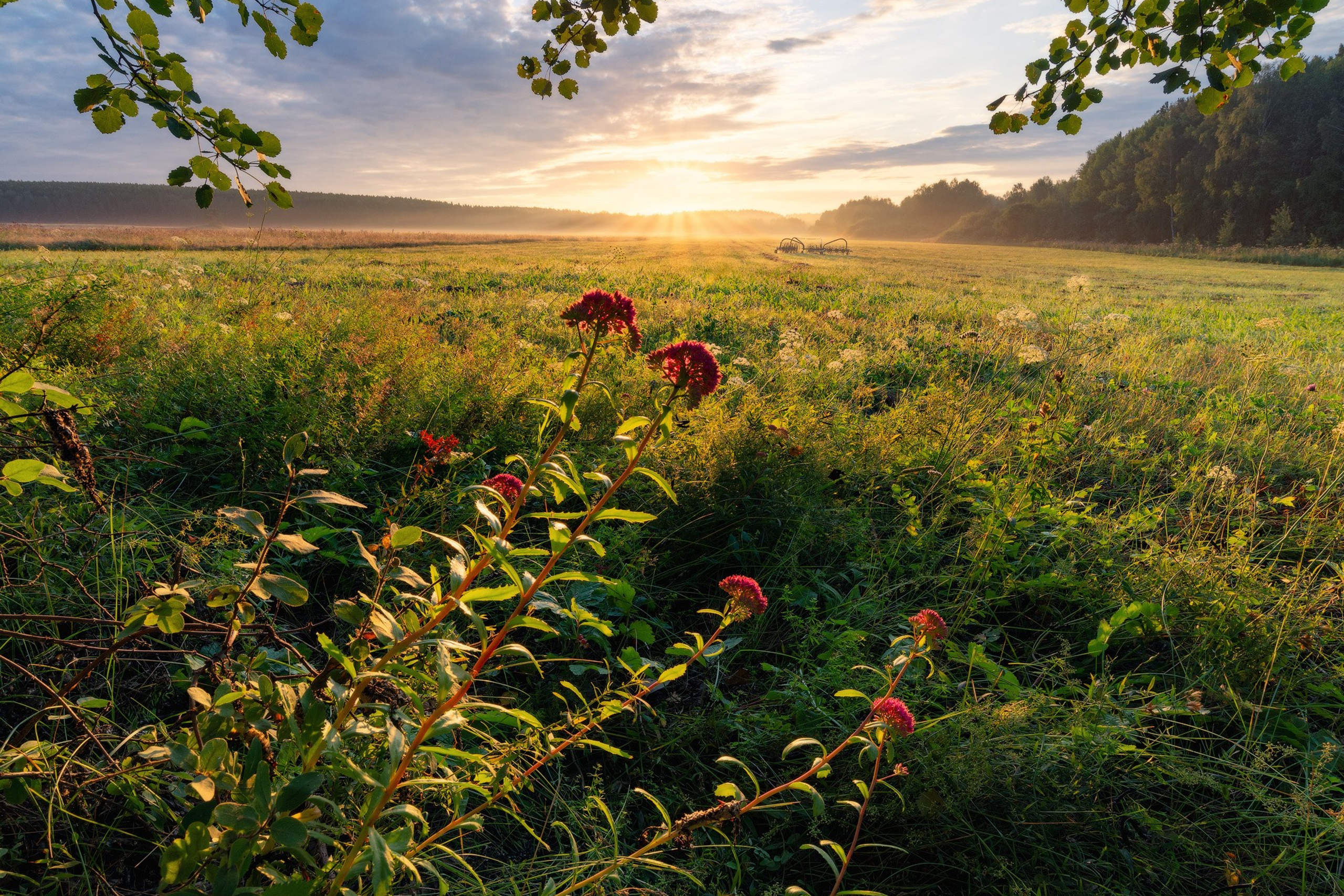 Летние пейзажи поселка Черноисточинск