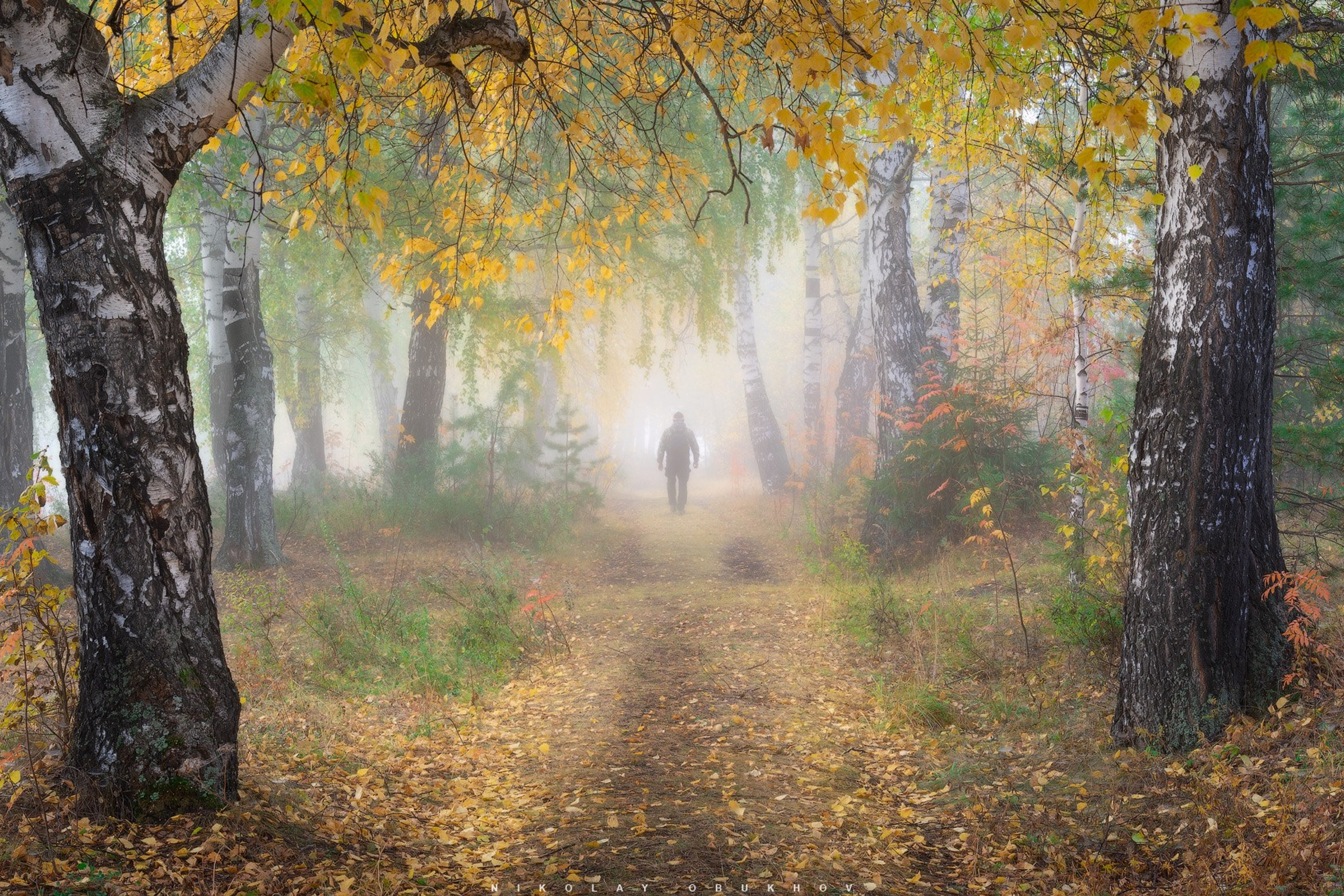 Осенние пейзажи поселка Черноисточинск