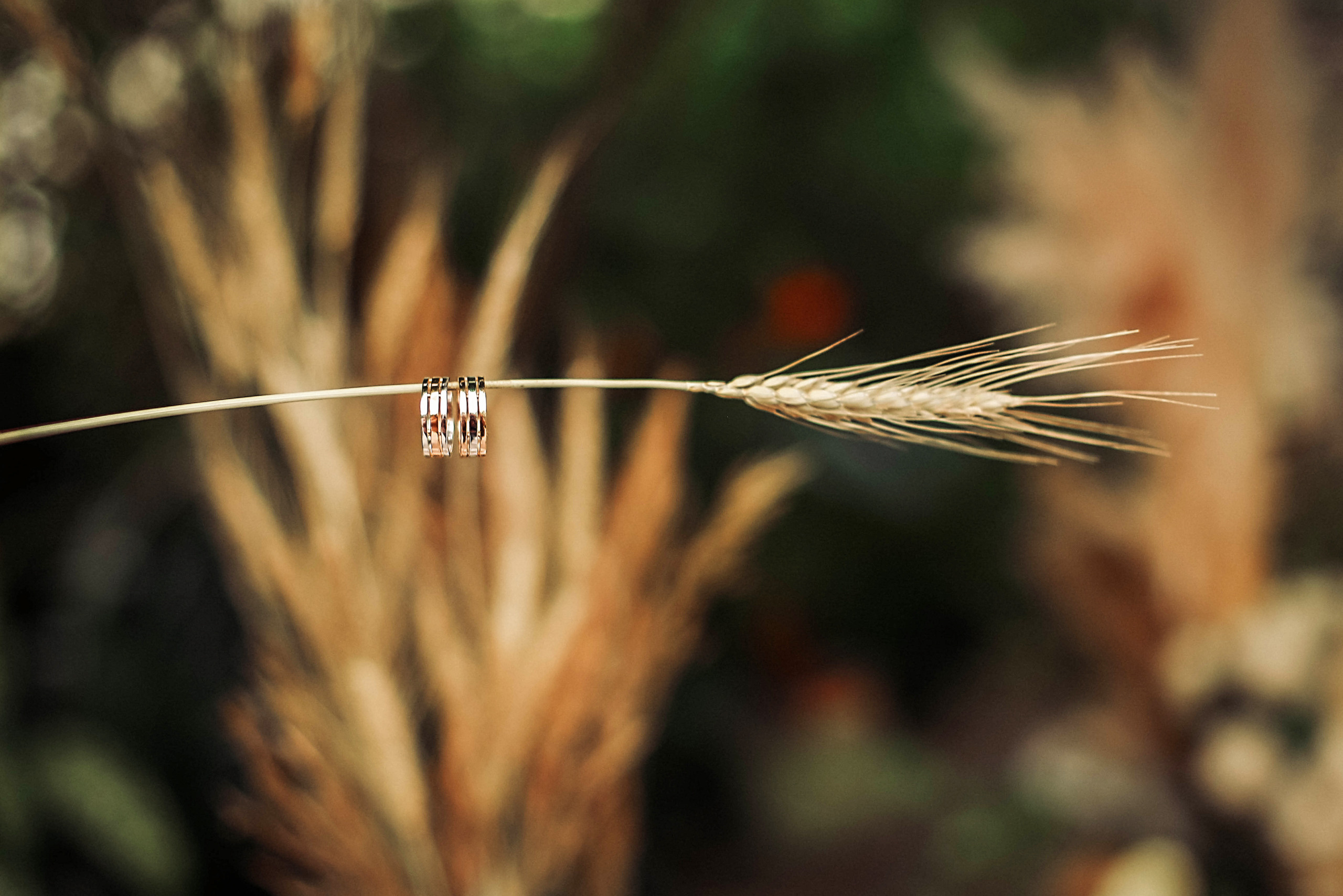 Свадебные кольца. Сниму ваши кольца так как никто не делает))