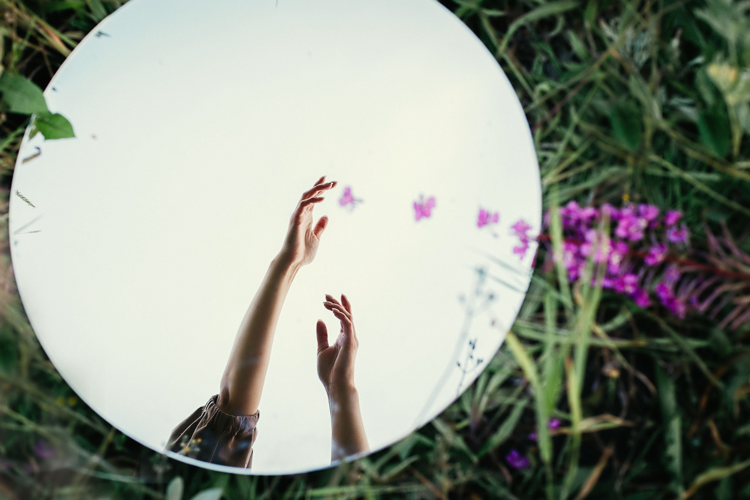 Фотосессия в поле Иван — чай