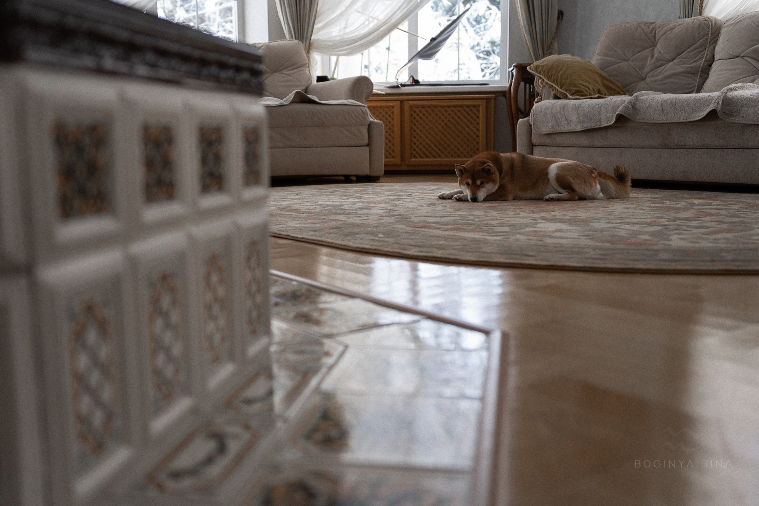 Фотограф на роды Москва. Фотограф новорожденных Москва