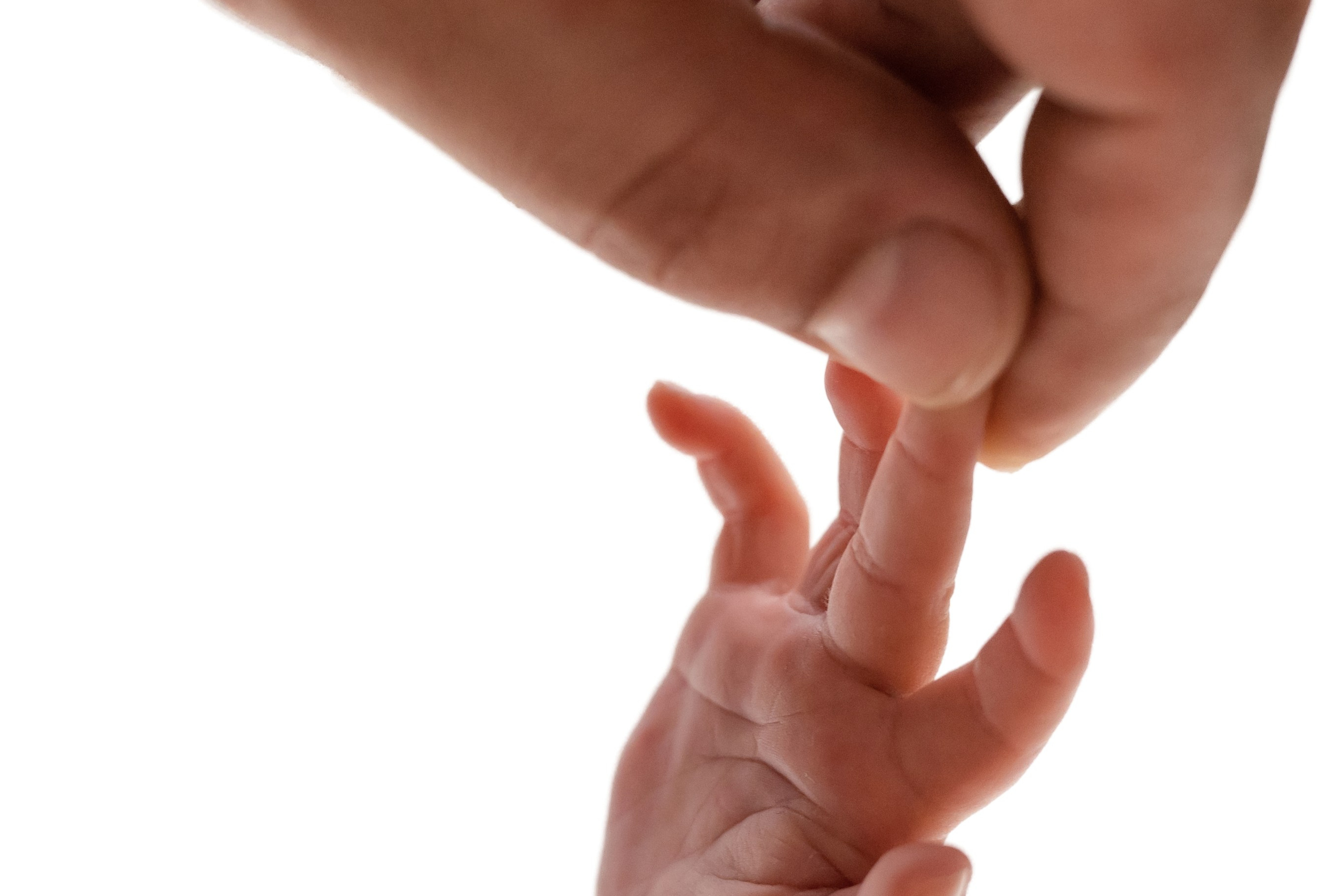 ПОРТФОЛИО классический newborn. Фотограф новорожденных в Красноярске Мария Красикова